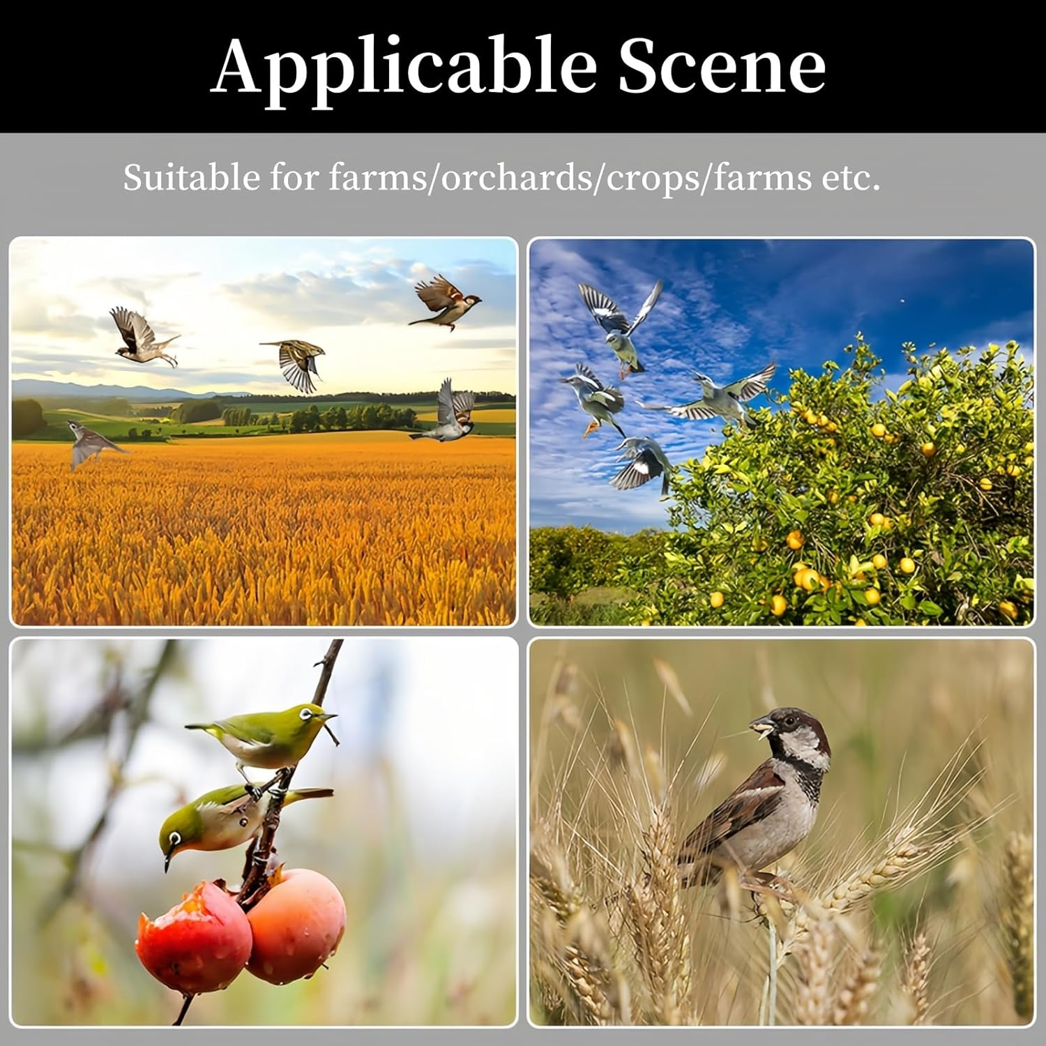 Lancoon Solar Power Bird Alarm Repellent IP55 Waterproof 360&deg; Comprehensive Protection Multiple Sounds Deter Birds Enemy Horned Suitable for Outdoor Garden Yard image number 3