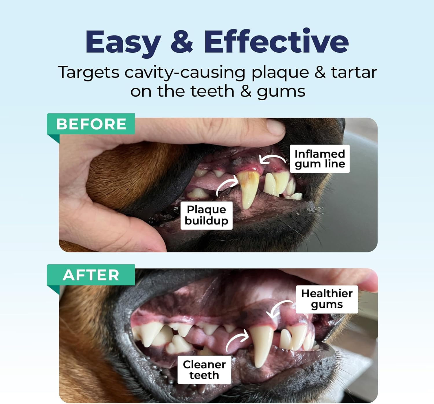 Vetnique Dentabliss - Dog Teeth Cleaning Finger Mitt Dental Wipe - Dog Plaque and Tartar Prevention with Brushing Beads - Convenient Peppermint Dog Teeth Wipes, Dog Breath Freshener image number 2