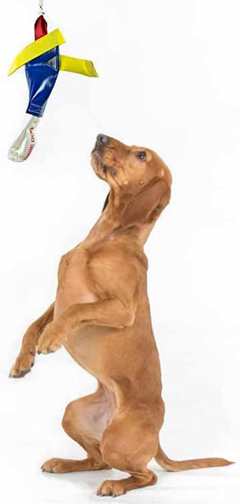 Aussie Dog Heavy Duty Bungie Turbo Chook Tough Interactive Tug Toy for Medium to Large Dogs, Multi-Color image number 1