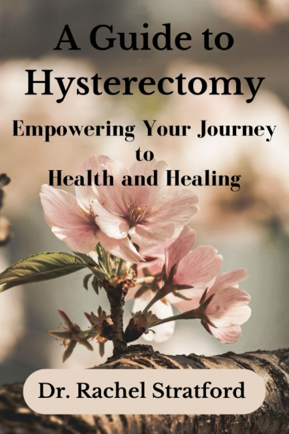 A Guide to Hysterectomy: Empowering Your Journey to Health and Healing image number 1