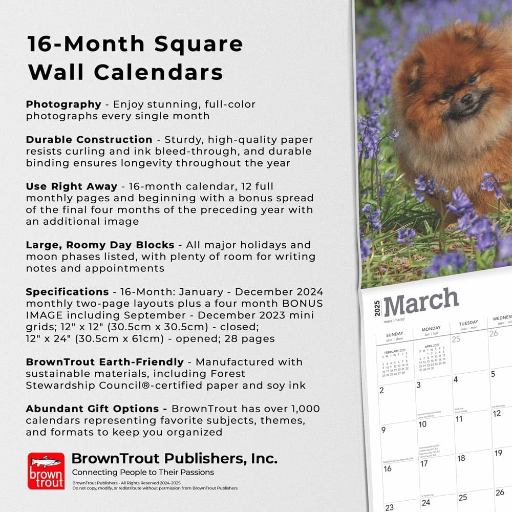 Pomeranians | 2025 12 X 24 Inch Monthly Square Wall Calendar | Plastic-Free | Browntrout | Animals Small Dog Breeds image number 4