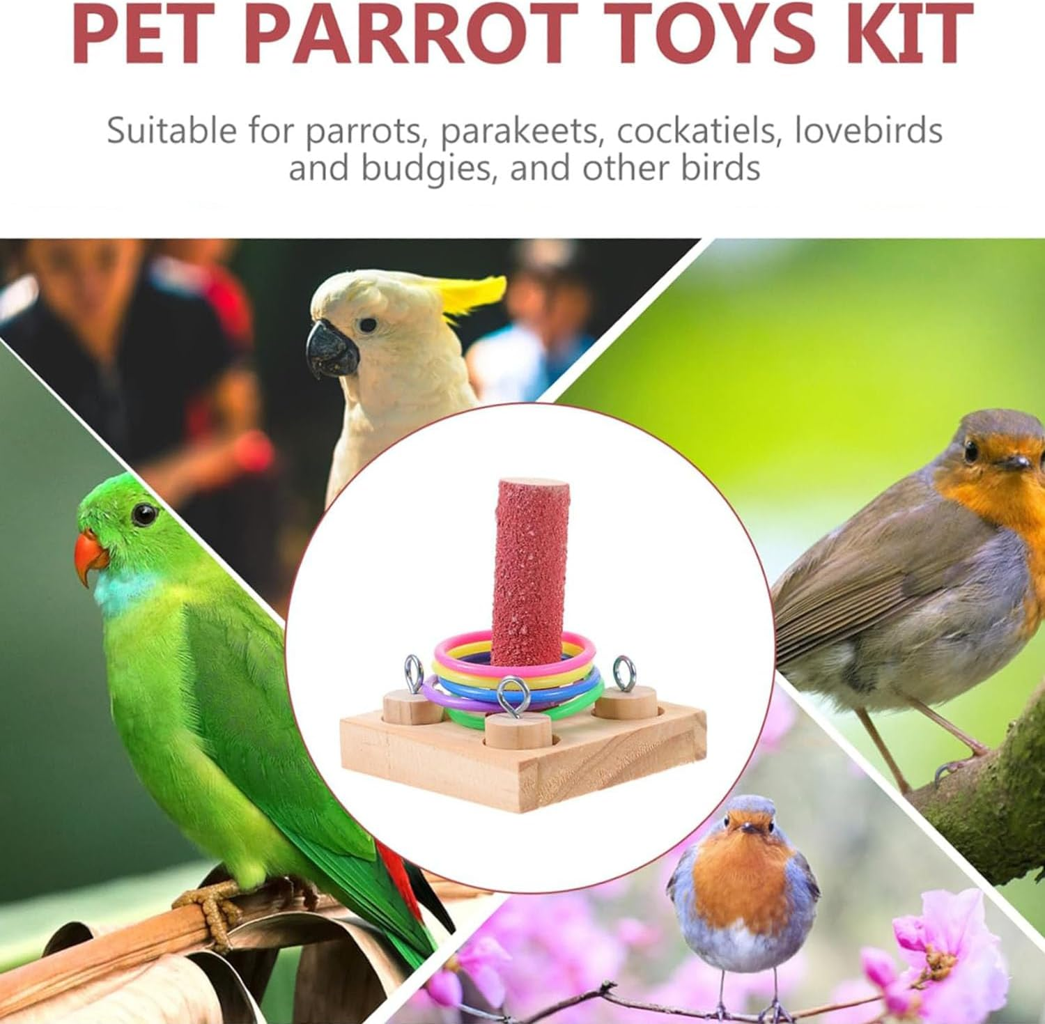 1 Set Parrot Educational Toy, Bird Intelligence Training Toy, Wooden Bird Toys Interactive Puzzle, Parrot Training Toy for Parrots Beak Grinding Chew Toy Pet Education Tabletop Toy (1 Pillars-5 Loops) image number 3