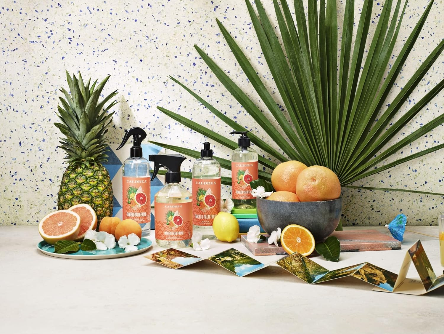 Caldrea Hand Wash Soap, Aloe Vera Gel, Olive Oil and Essential Oils to Cleanse and Condition, Scent, Tangelo Palm Frond 10.8 Fl Oz image number 4