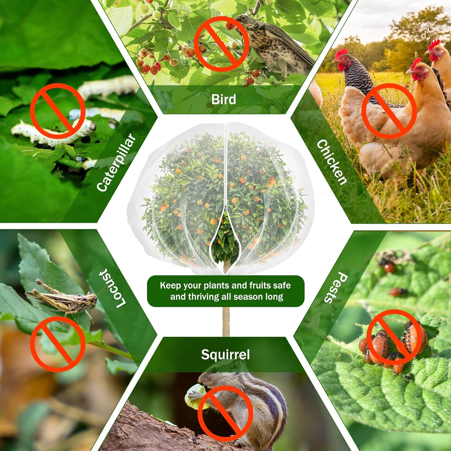 10 X 10 Ft Large Fruits Tree Netting, Fruit Tree Bird Netting with Zipper and Drawstring, Durable Breathable Transparent Fruit Tree Insect Netting, for Fruit Vegetable Trees, Bushes,Flower in Garden image number 1