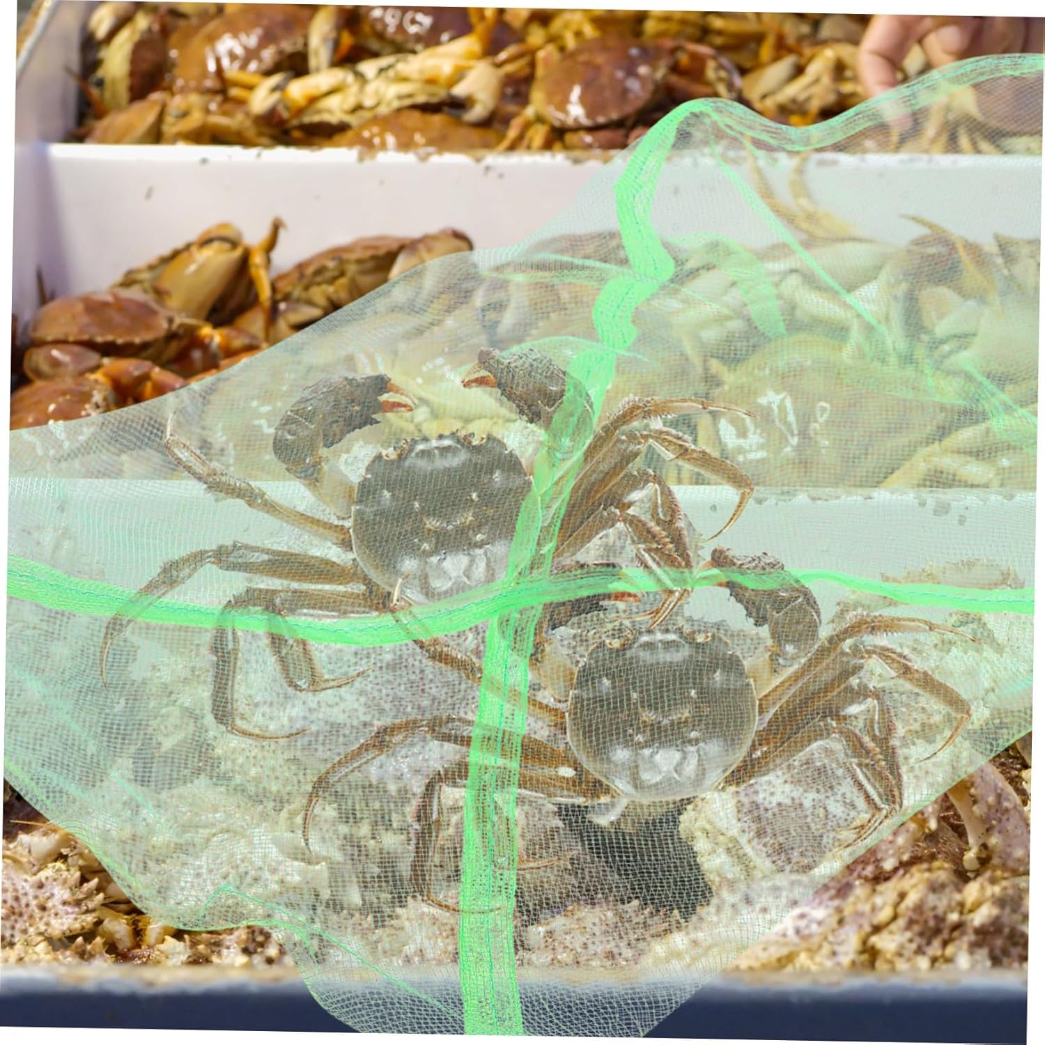 DOITOOL 10Pcs Portable Outdoor Crab Mesh Bags Quick-Drying Fishing Net Pouches Multi-Use Drawstring Storage for Fish Crabs Lobsters image number 5