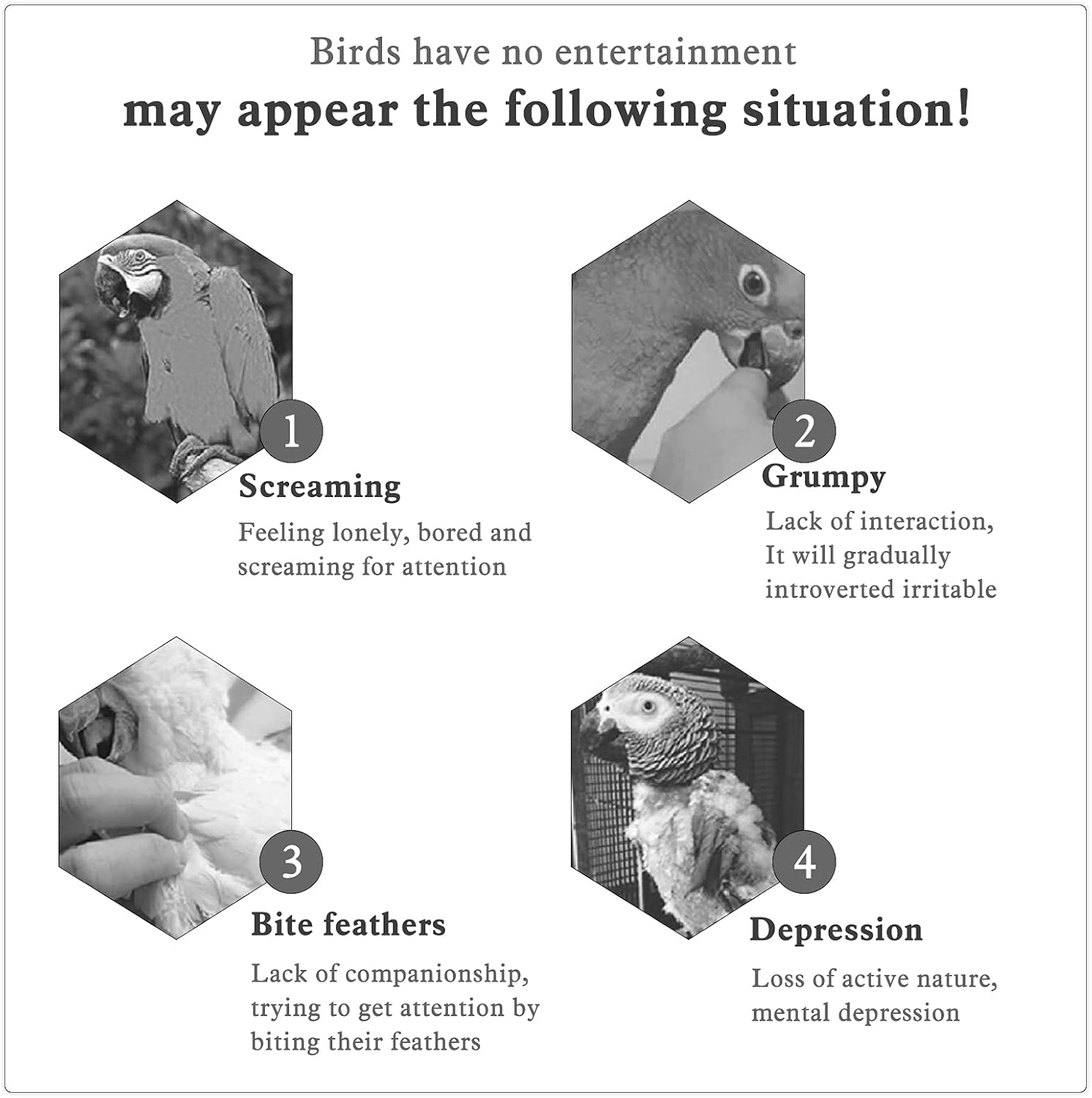 Staright Bird Swing Perch for Birds Chewing Toy Parrot Chew Toy Bird Cage Hanging Training Toy Accessories for Large Medium Birds image number 2