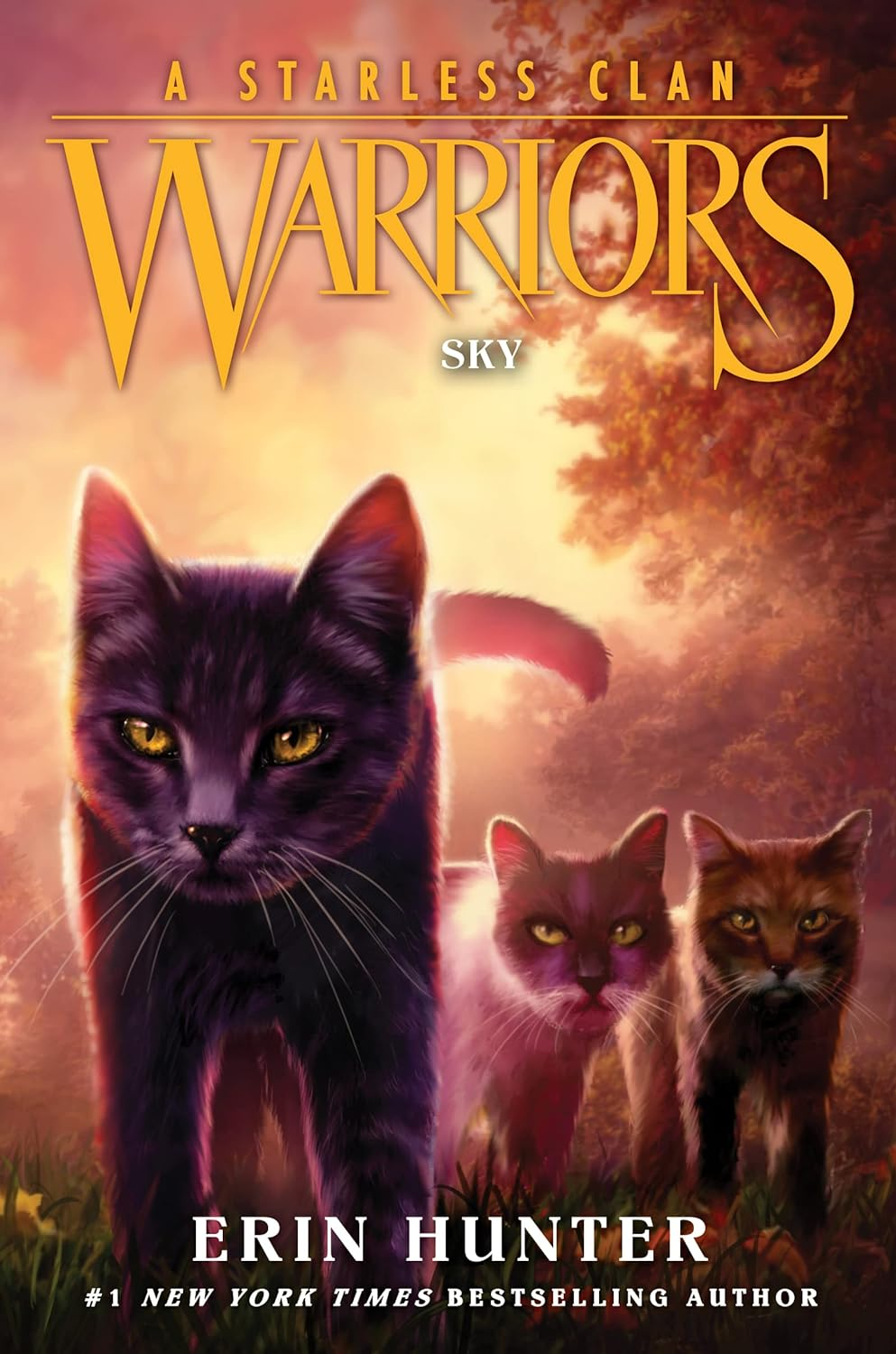 Warriors: a Starless Clan #2: Sky