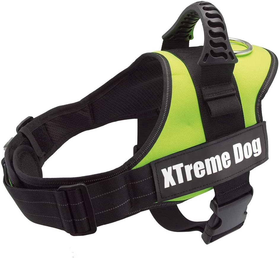 Arquivet 17718 Xtreme Dog Harness, Neon Green, M (61-81 Cm) image number 1