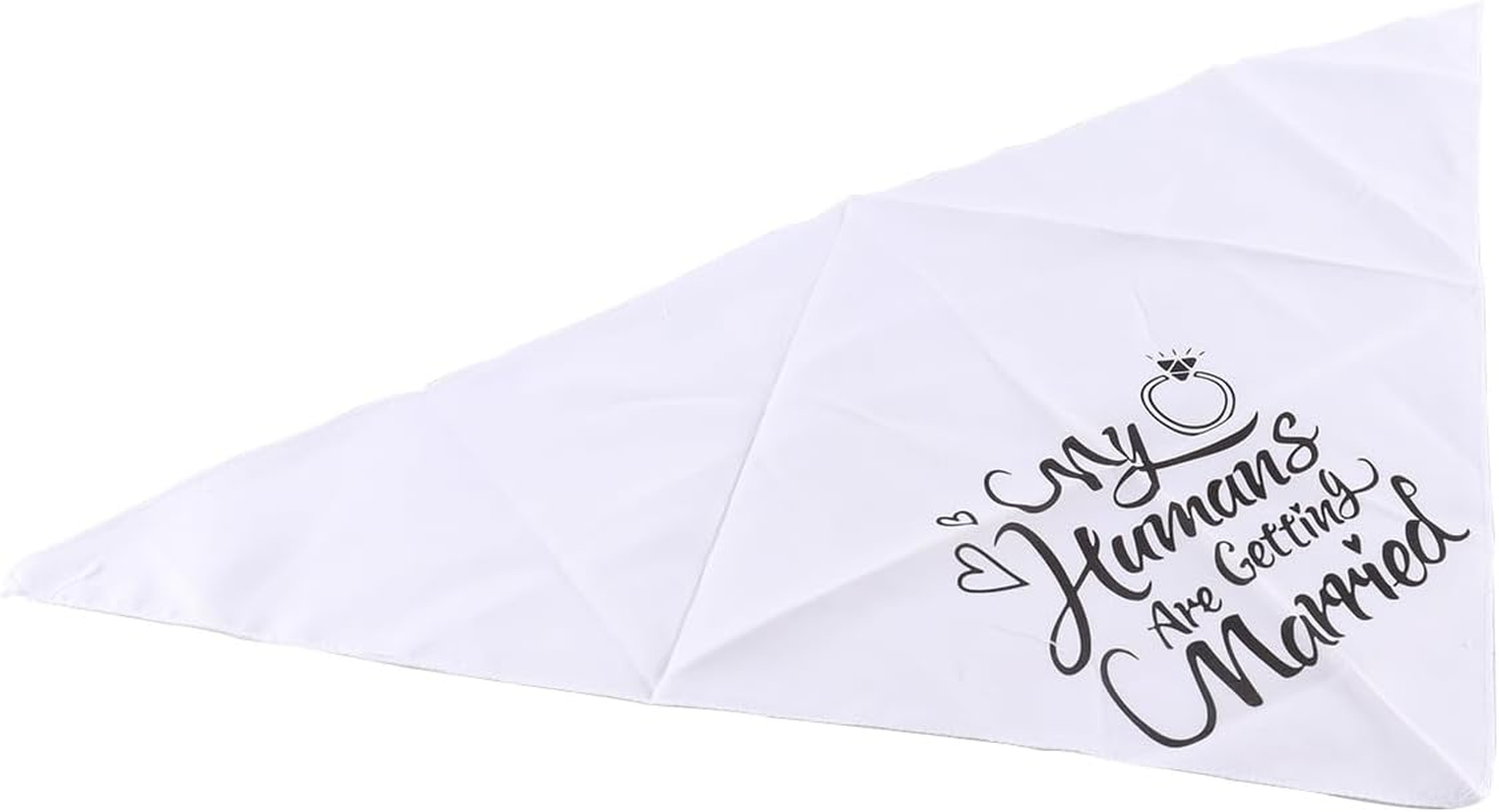 Enwye Wedding Dresses for Dogs for Engagement Day, Handkerchief Pet Dresses for Weddings, Engagement Parties and More! image number 2