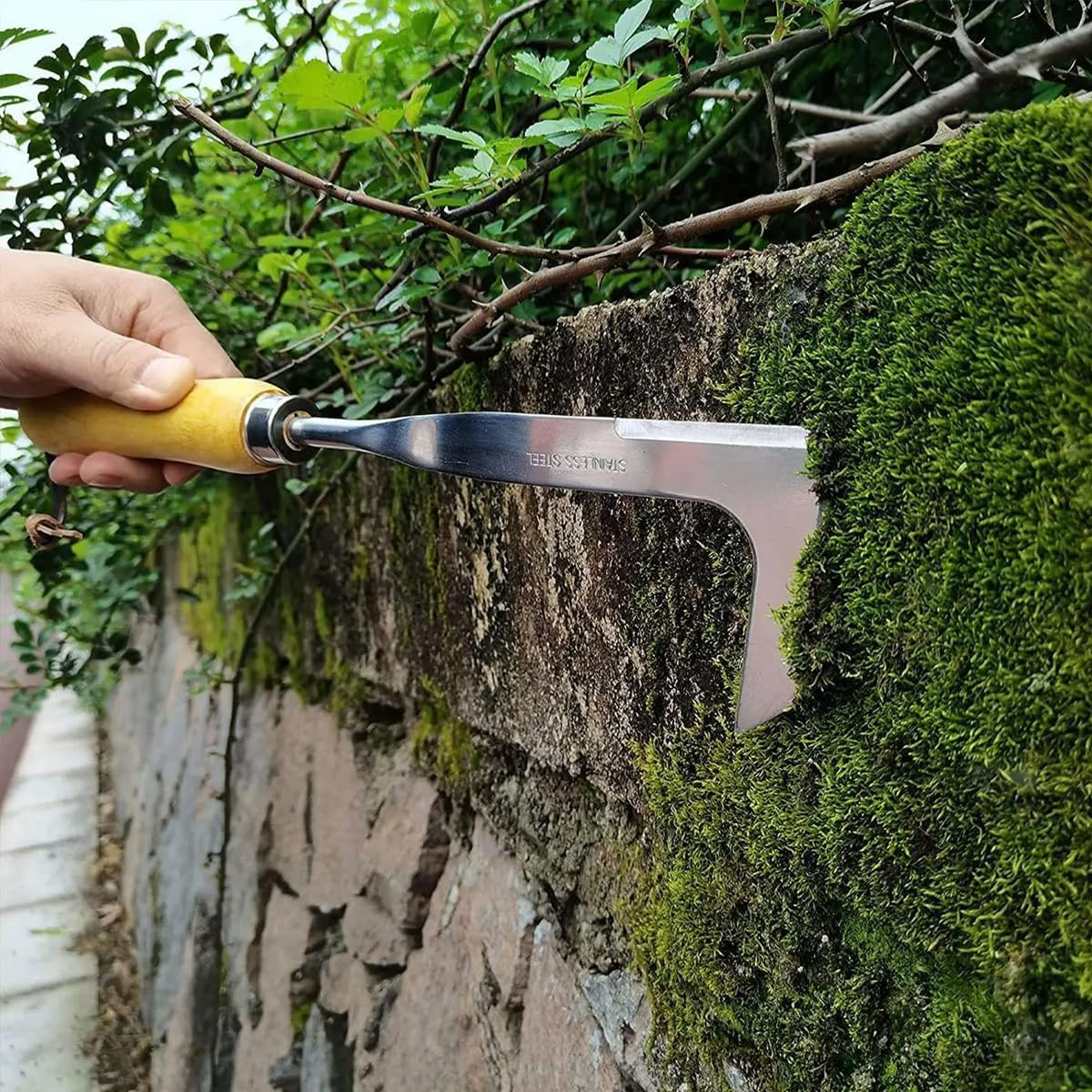 AIMALL Stainless Steel Weeder Tool with Wooden Handle, Lightweight Garden Weed Puller, Available in Sizes, Durable Weed Grabber image number 3