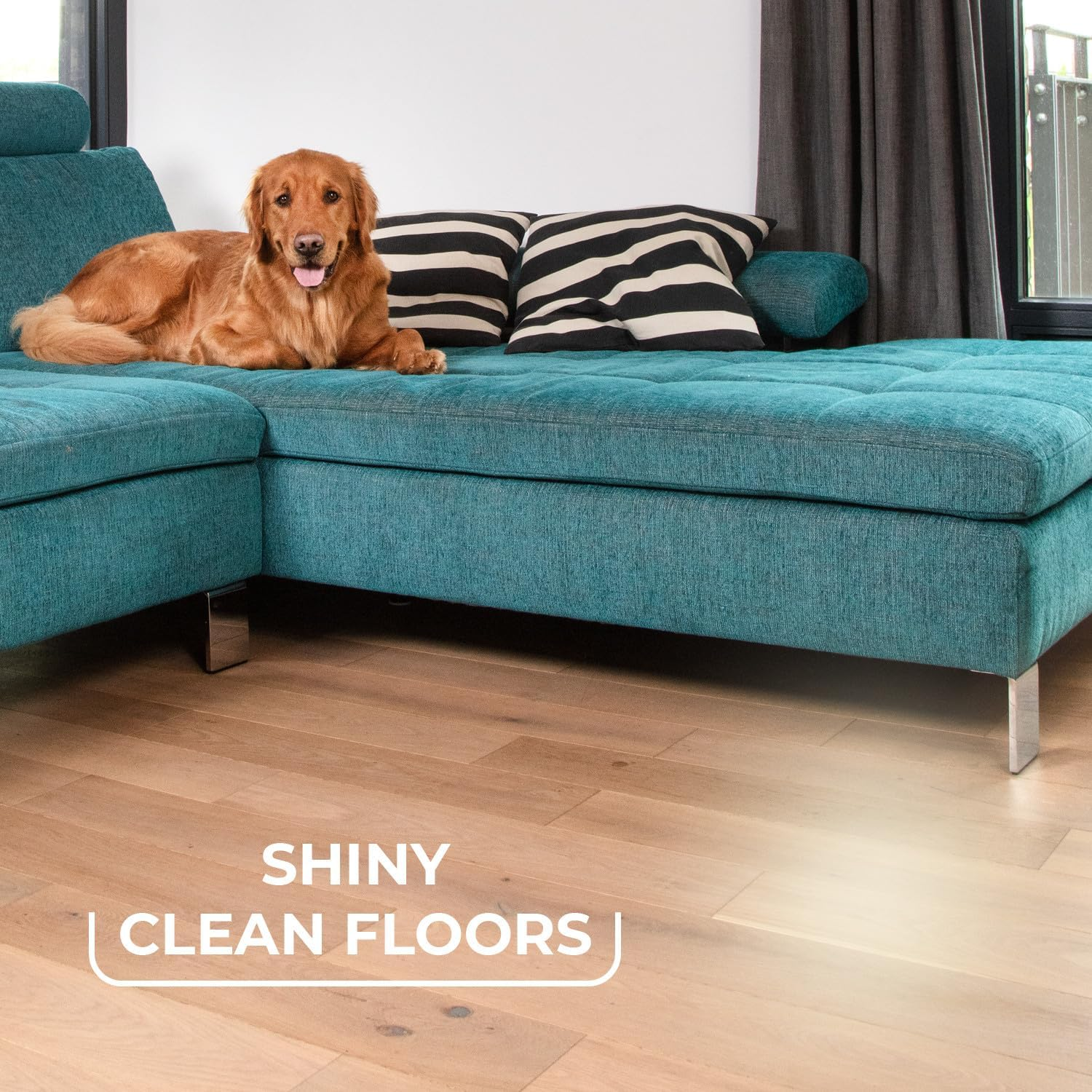 Vileda Always Clean Pet Pro Brush Set, Red, Medium image number 4