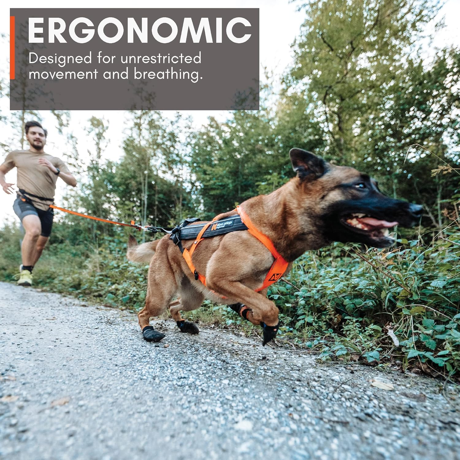 Non-Stop Dogwear Freemotion Harness 5.0 Dog Pulling Harness for Sports like Running, Biking and Skiing with Dogs, Professional Adjustable Dog Harness, Orange/Black, Size 4 image number 1