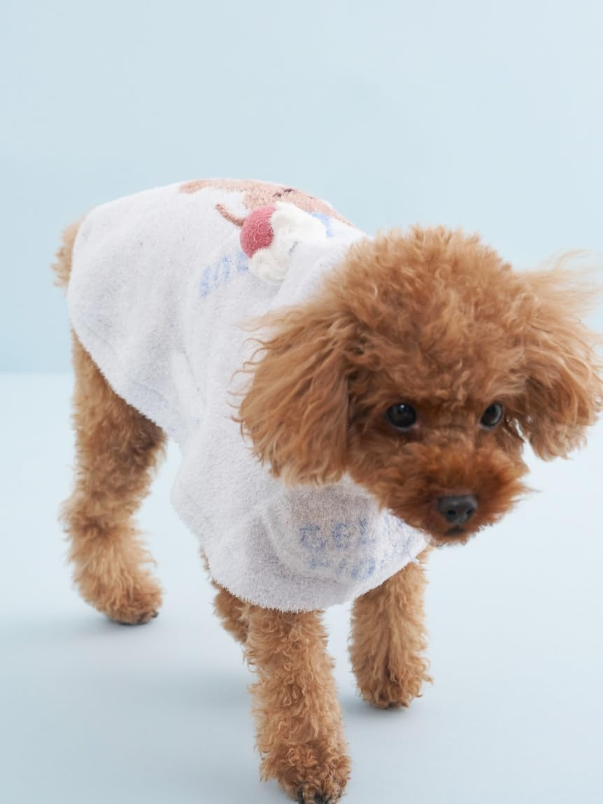 Gelato Pique Cat & Dog CAT & Dog (Birthday) Smooth Cape PAGG259137 BLU M image number 4