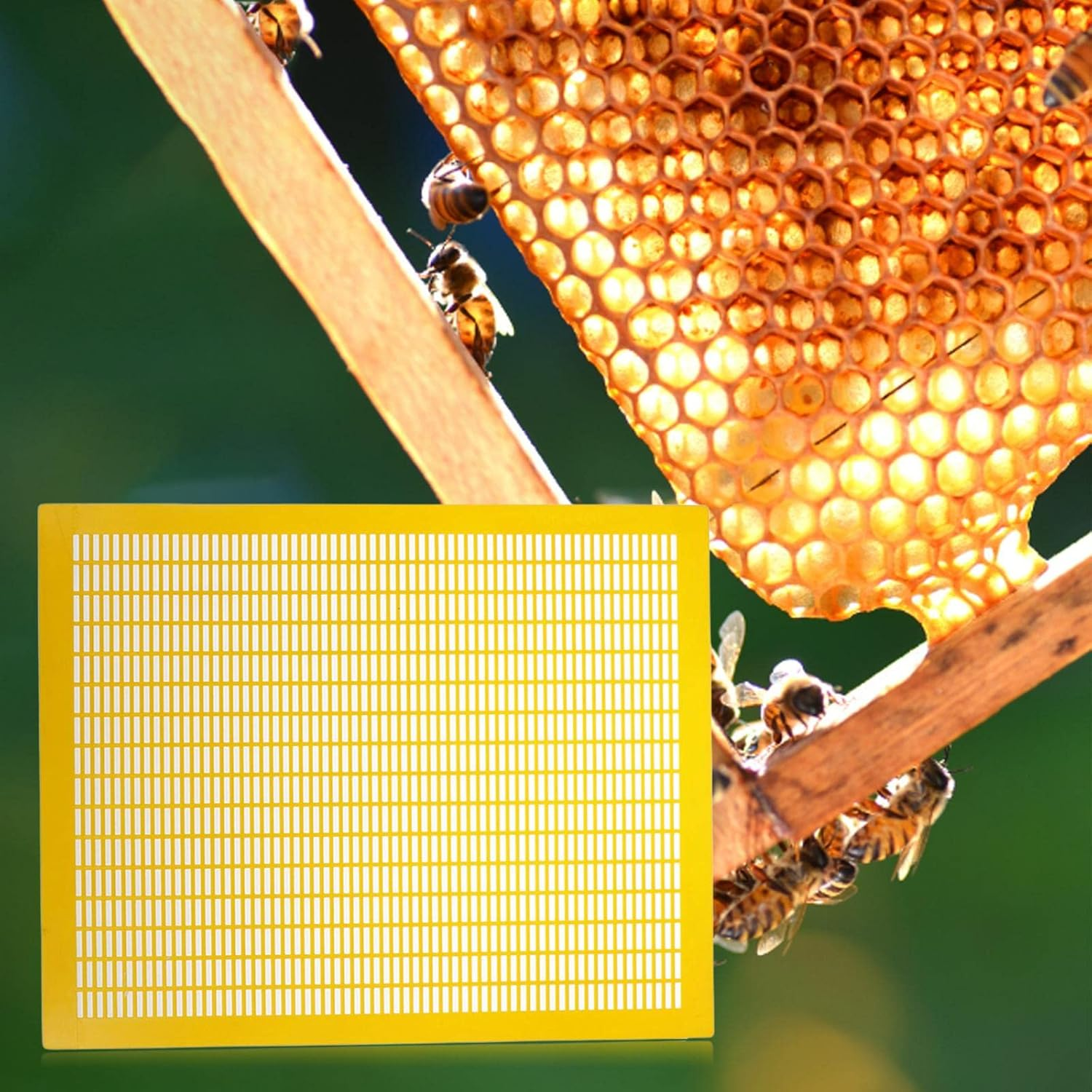 Generic Practical 10 Frame Queen Bees Excluder Easily Clean Beehive Entrance Reducer Beekeeper Beekeeping Excluder Frame, Garden Tools, Yellow