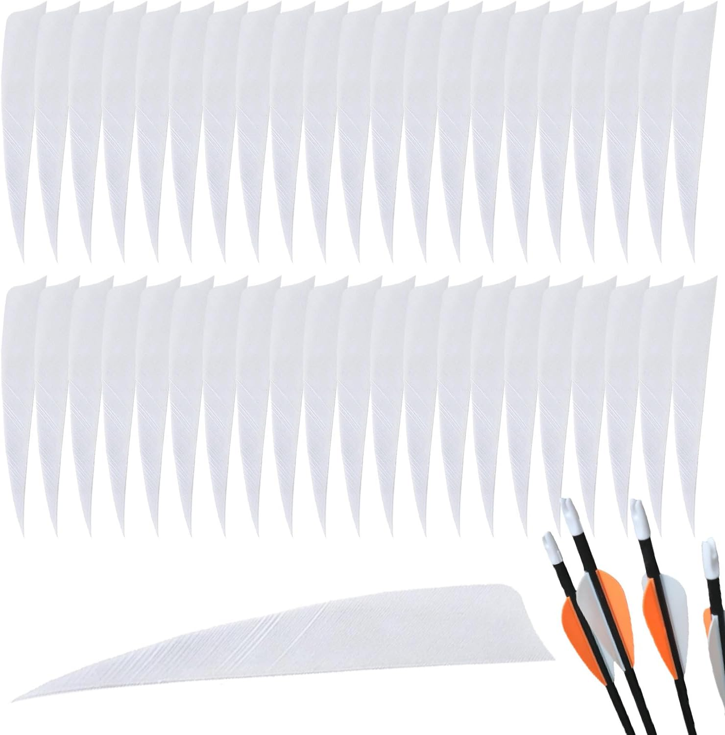 Wzenclave 50 Pcs Arrows Vanes 4-Inch Shield Shaped Feather, Left Feather, Feather DIY, Turkey Feather Traditional Bow, Recurve Bow, Archery Arrow Feather for Hunting Arrow Accessories DIY Archeryr