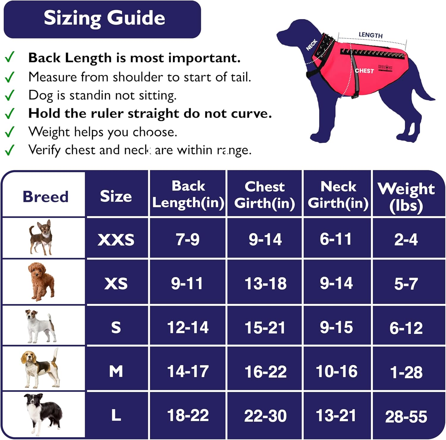 Coyotevest Dog Harness Protection Vest, Reflective Dog Accessories with Spikes to Shield Your Pet from Raptor and Animal Attacks, Proudly Made in America (Medium, Pink)