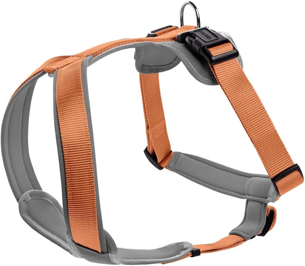 Hunter Neoprene Dog Harness, Small, Red/Black