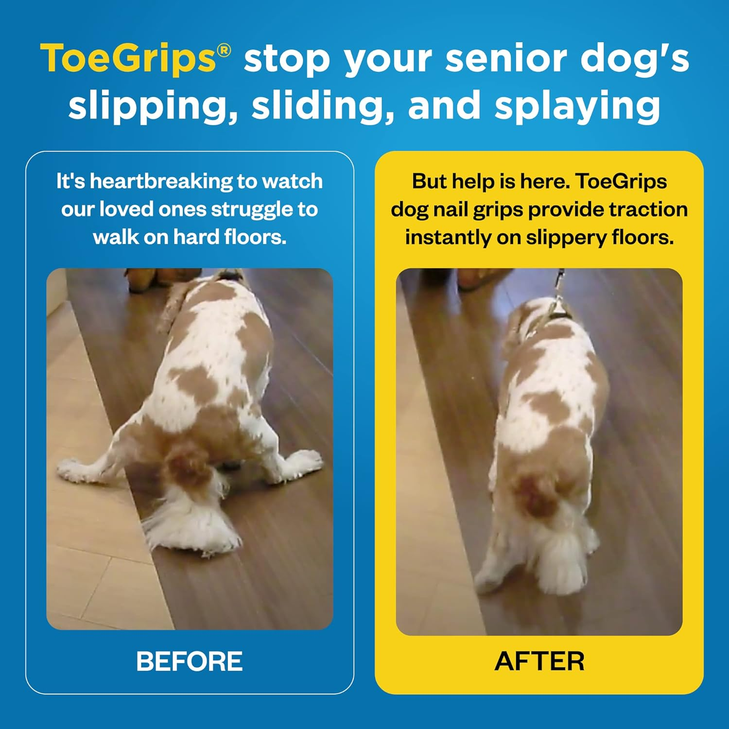 Dr Buzby'S Large Toegrips for Dogs - Instant Traction on Wood/Hardwood Floors - Anti-Slip Relief for Senior Dogs - Stop Sliding Instantly - Rubber Nails - 1 Pack (20 Grips) image number 2