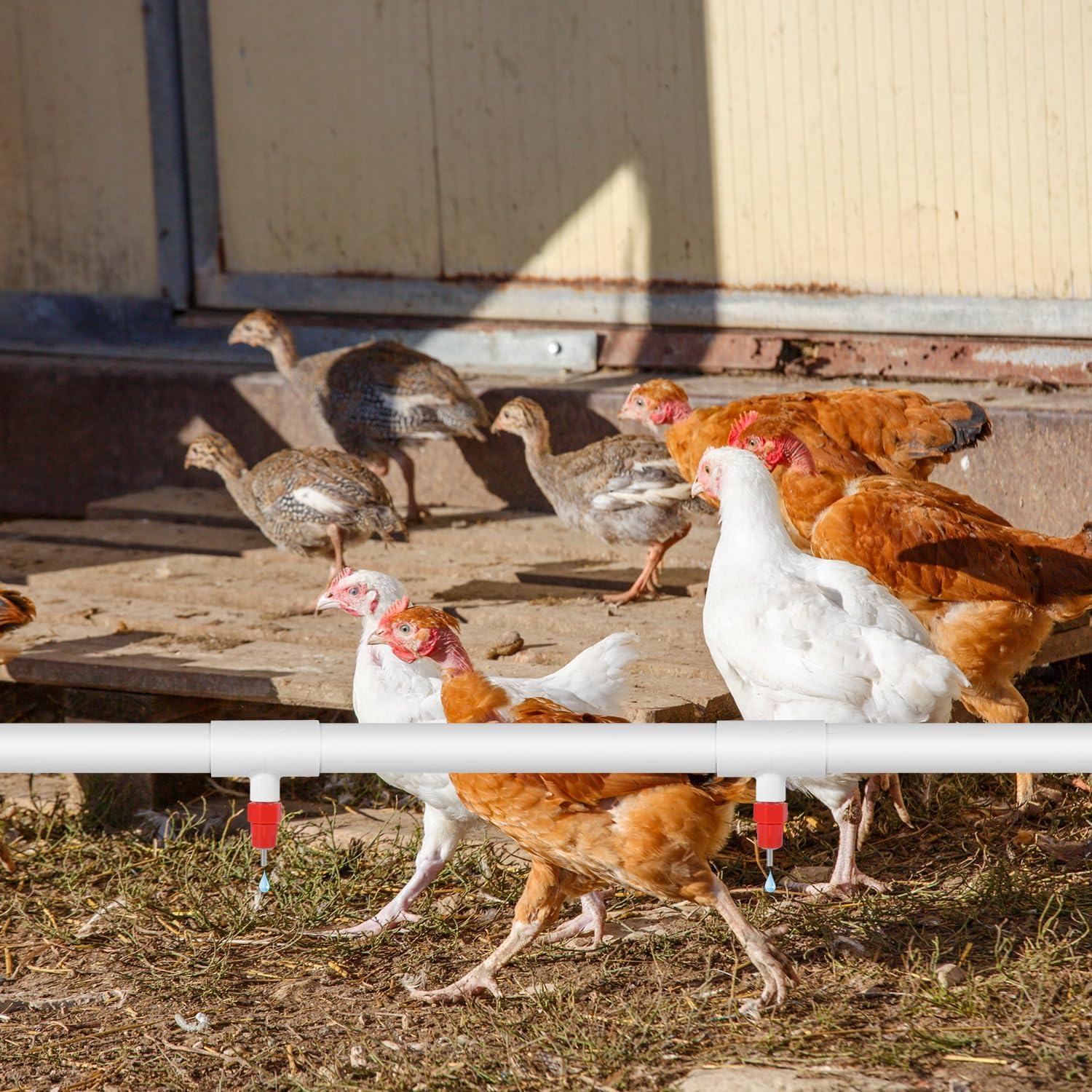 10Pcs Chicken Waterer Nipples, Automatic Chicken Waterer Nipples Poultry Water Nipples Horizontal Chicken Water Nipples Practical Accessories image number 6