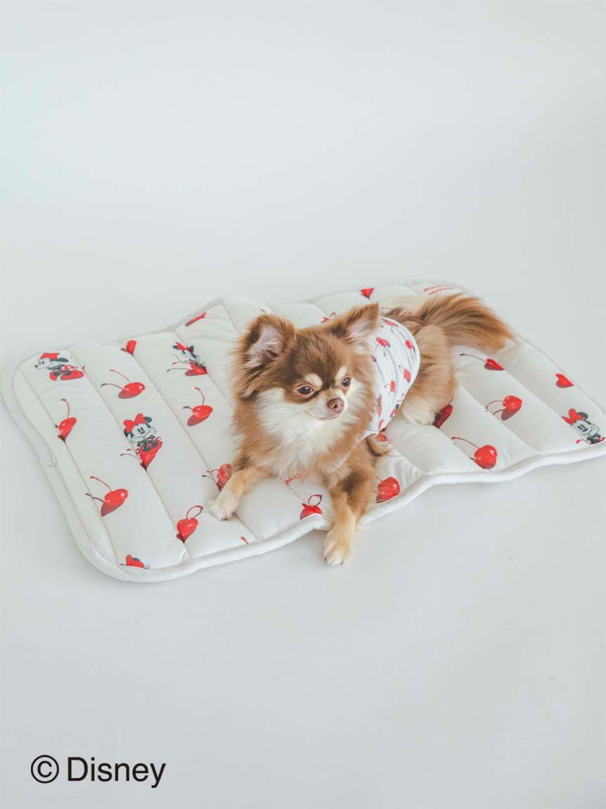 [Gelato Pique Cat & Dog] Disney Cat&Dog Minnie Mat PAGG242594 OWHT F, OWHT, F image number 6