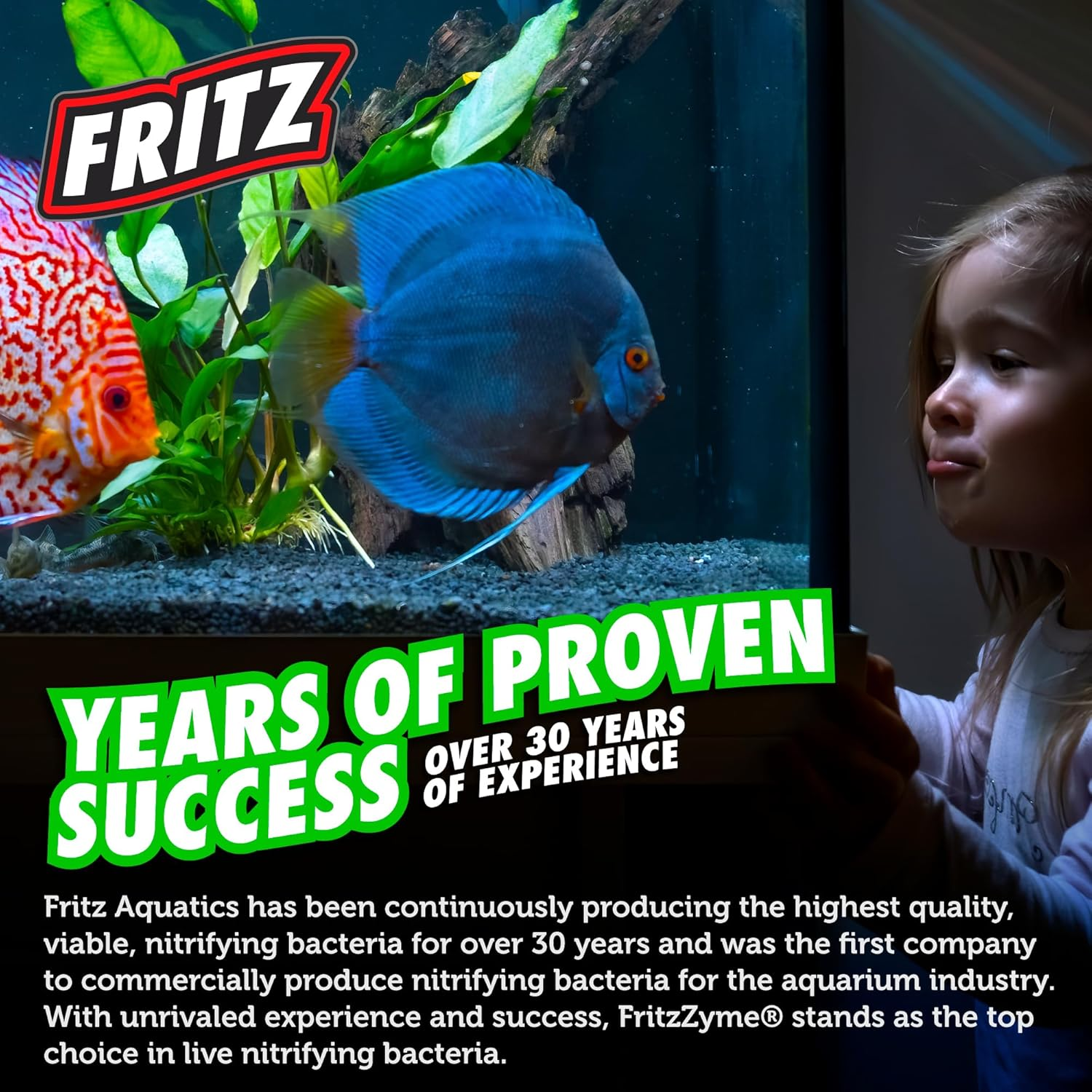 Fritz Aquatics 48016 Fritz Algae Clean Out Algaecide for Fresh and Salt Water Aquariums, 16-Ounce image number 1