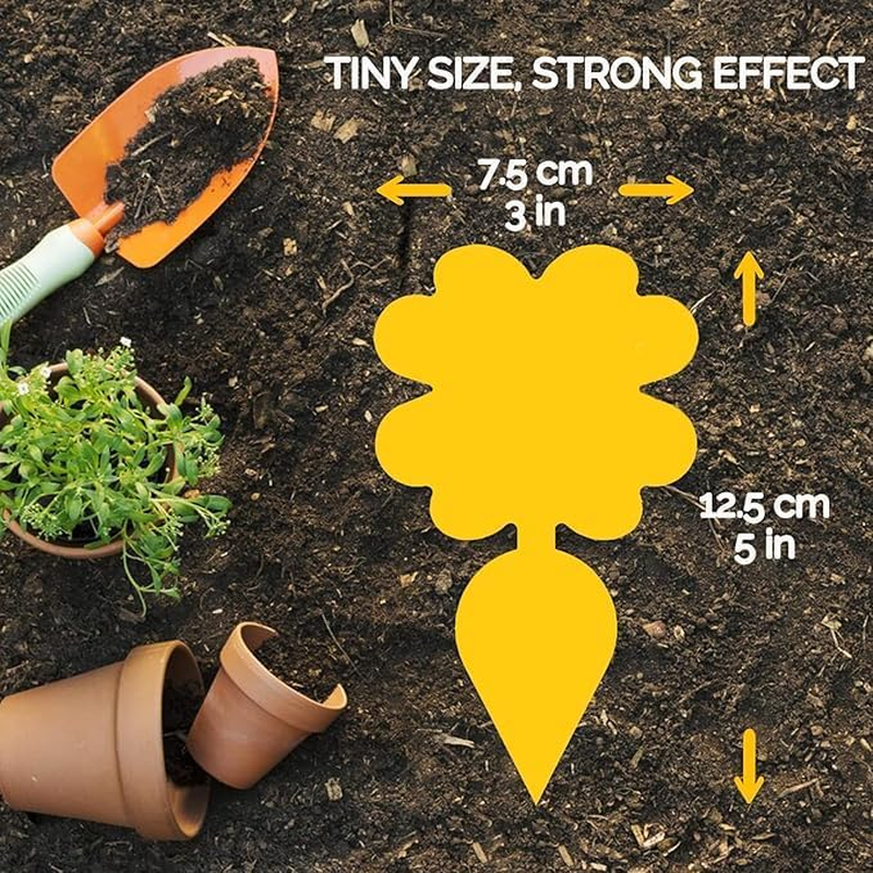 60 Pieces Fruit Fly Sticky Trap | Portable Insect Traps for Mosquitoes, Flies, Moths | Waterproof Disposable Fly Sticker for Plants | Outdoor Indoor Use image number 5