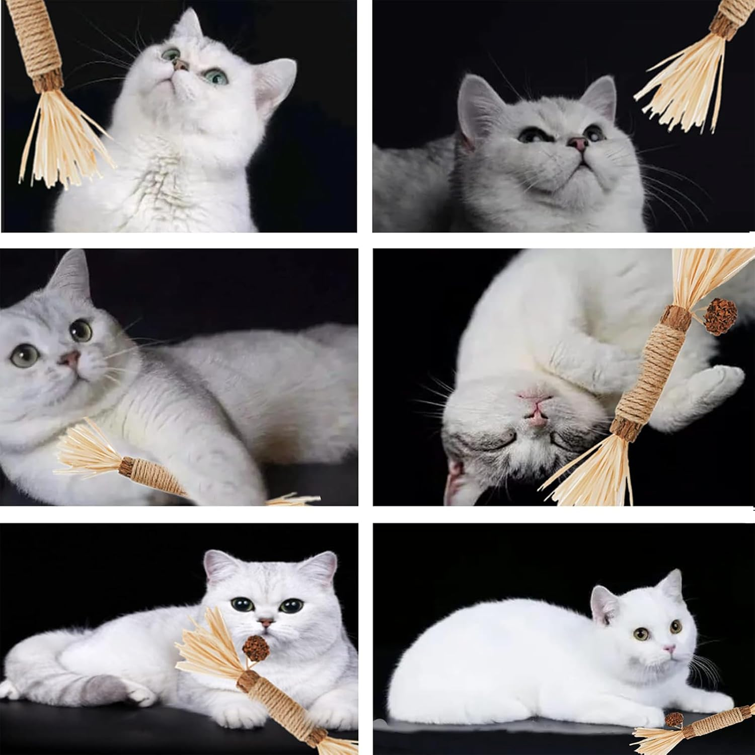 6 Pack Silvervine Cat Chew Toys, Natural Dental Sticks for Indoor Cats, Kittens Teeth Cleaning, Catnip Alternative, Interactive Play, Yellow image number 5