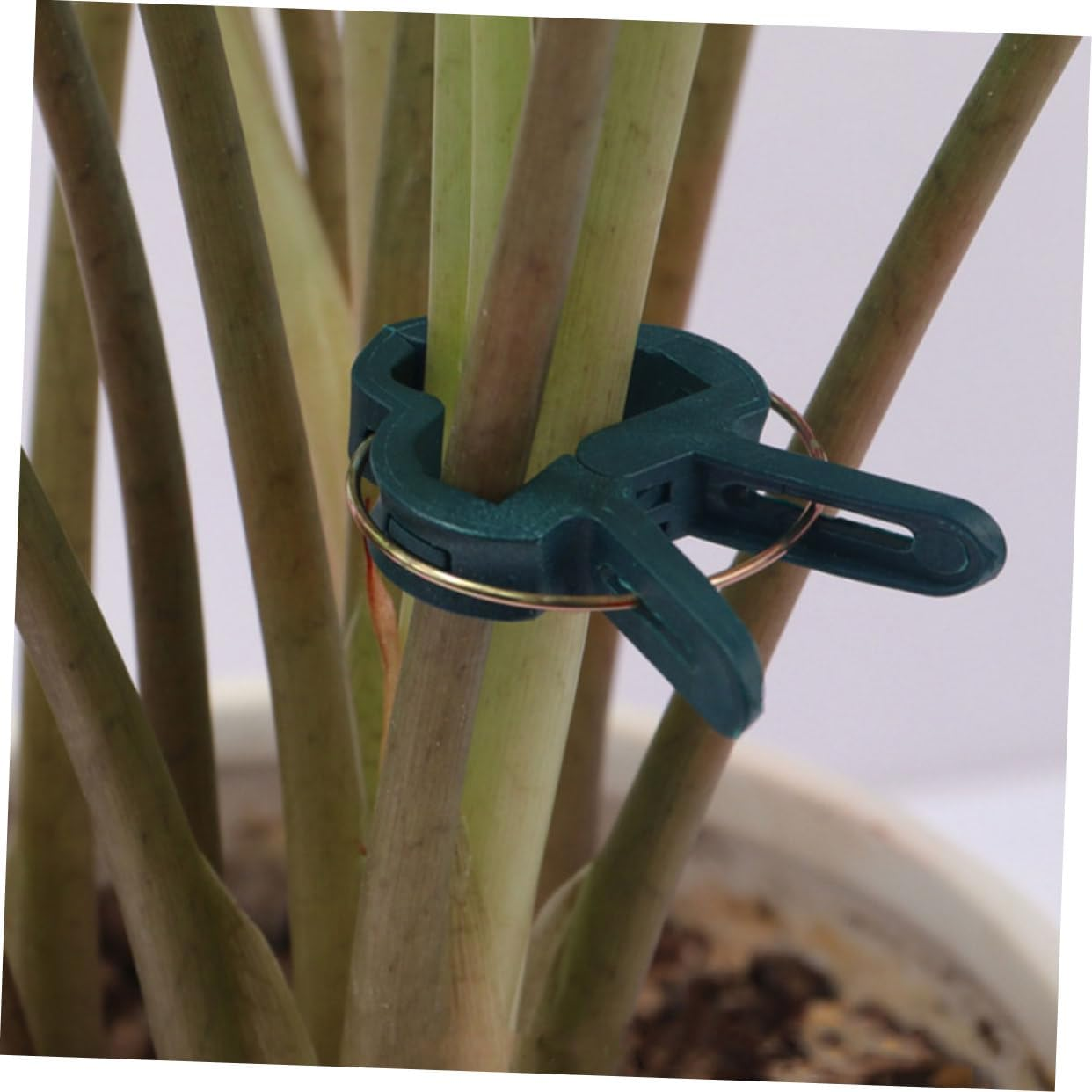 ROMISBABA 50Pcs Gardening Plant Clips Plant Support Clamps Indoor Outdoor Vine Climbing Grafting Gripper Clips image number 4