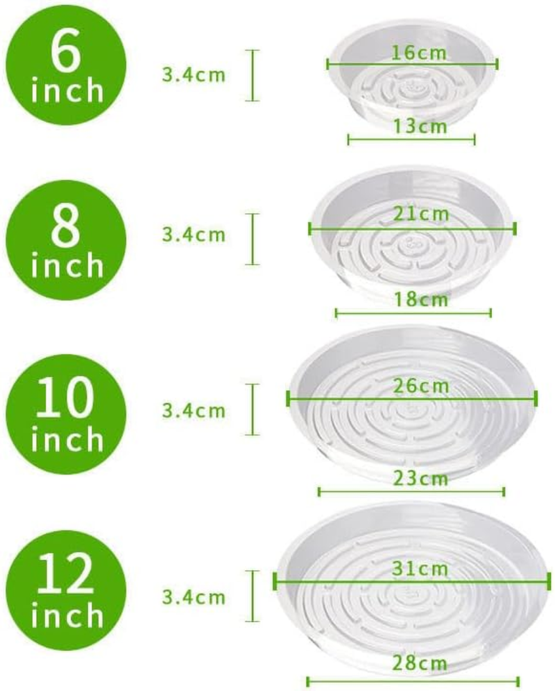 24 Pcs Clear Plastic Plant Pot Saucers, 6,8,10,12 Inch 4 Size Plant Saucers Flower Pot Tray No Holes Water Catcher Trays Suitable for Indoor and Outdoor Garden Container Planters. image number 3