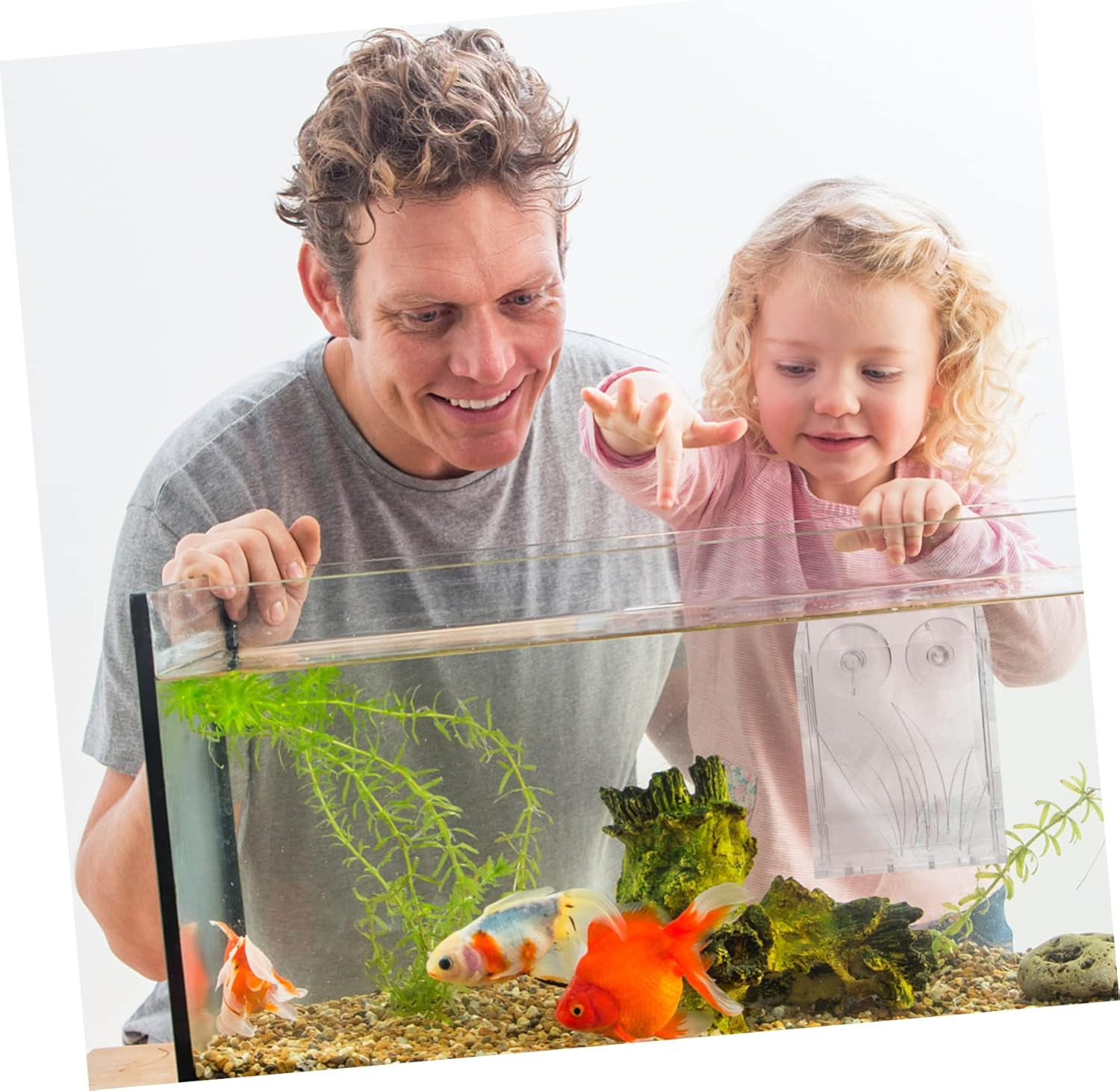 BCOATH Hanging Planter for Aquarium Sturdy Acrylic Planting Cup Fish Tank Plant Holder Aquatic Planting Cup image number 5