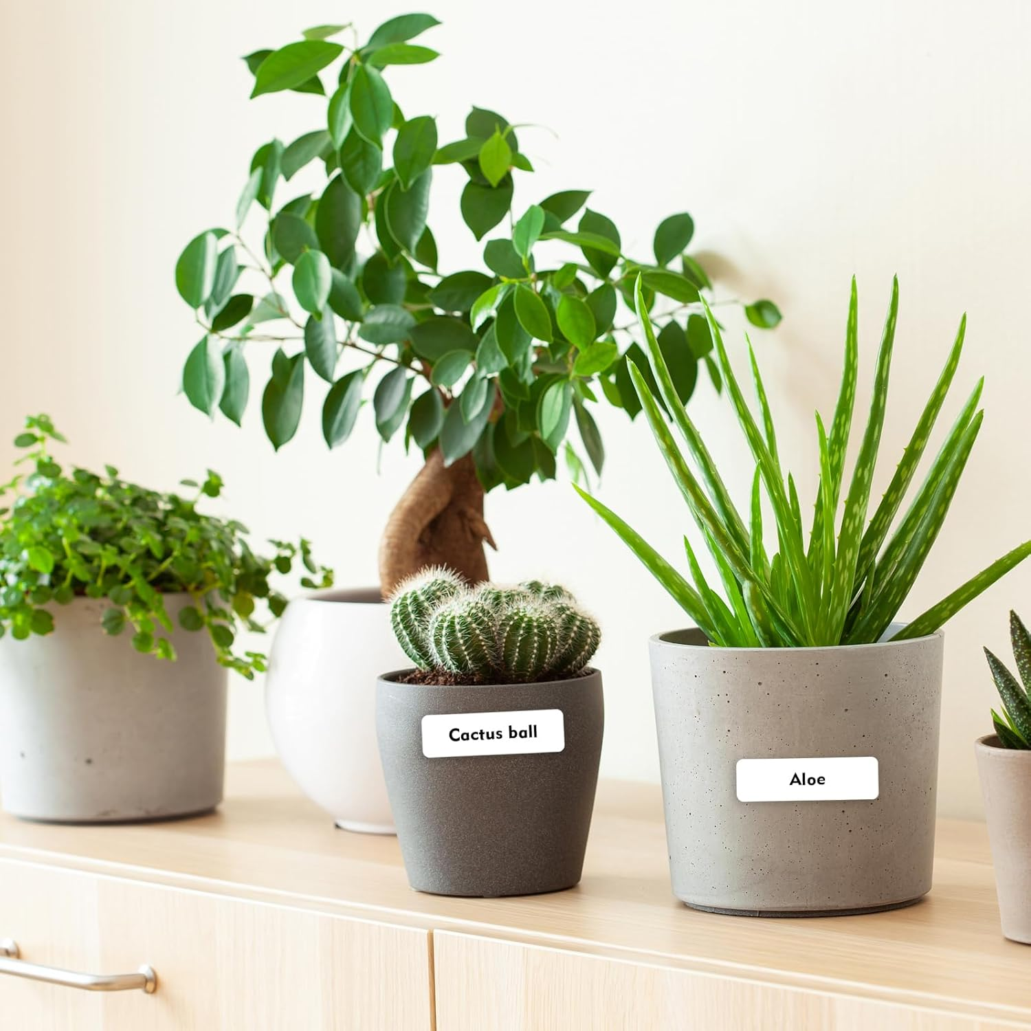 3 Rolls Label Tape Thermal Label Tape Label Print Stickers 12 X 40 Mm Waterproof White Labels Label Printer Paper for Q31 Q30S Q30 D11 D30 D30S LI MI Q1 E1 Label Printers 160 Label per Roll image number 5