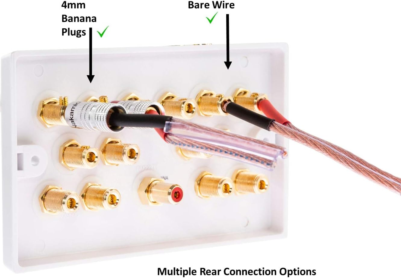 11.0 Audio/Av Surround Sound Speaker Wall Plate with Gold Binding Posts No Soldering Required