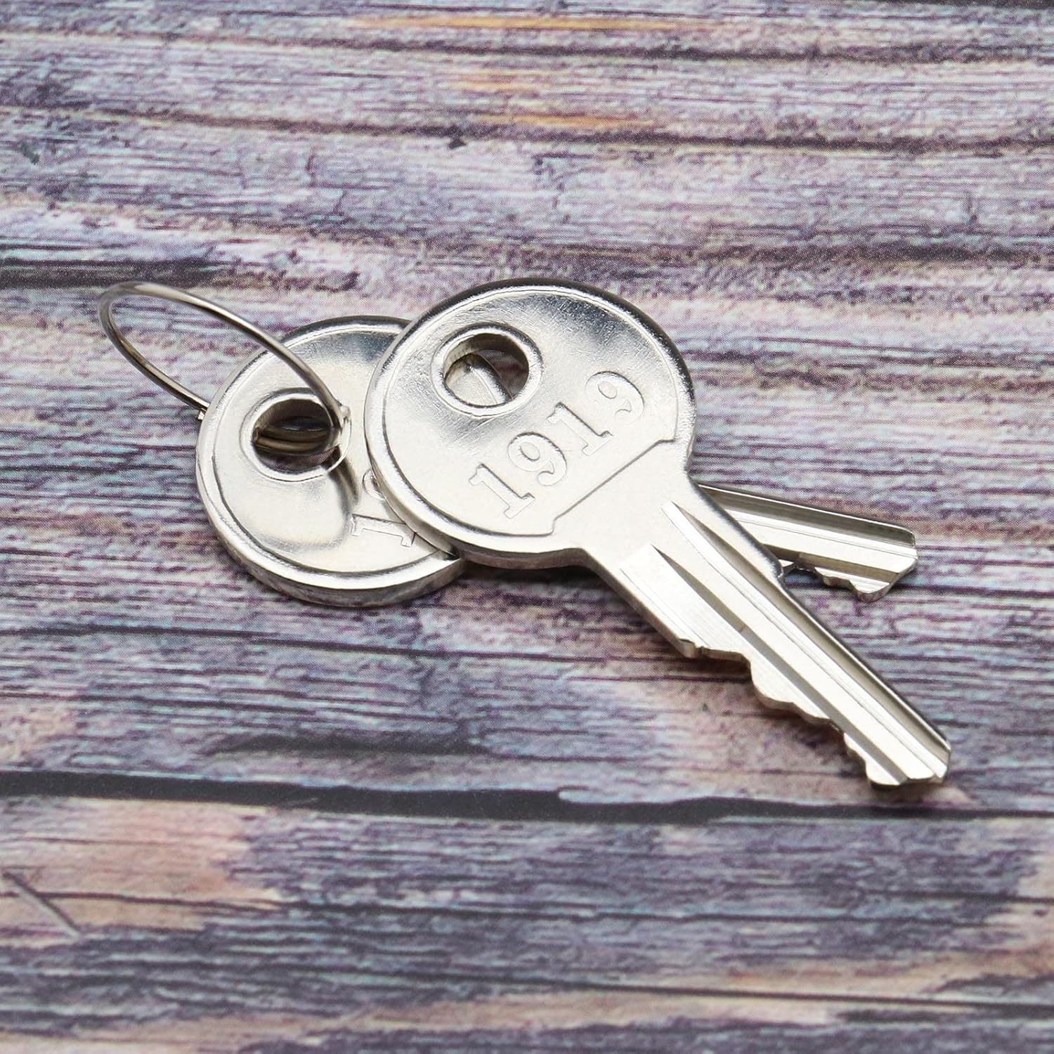 SING F LTD 2PCS Golf Cart Ignition Keys with 1PCS Key Ring 17063G1 Compatible with EZGO TXT Gas and Electric Golf Carts Replacement Spare Parts