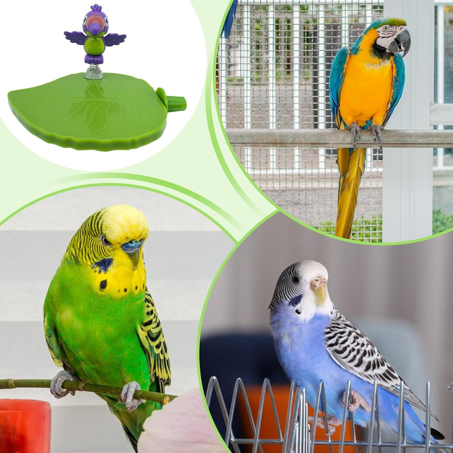 Bird Playground - Cactus Leaves Parrot Play Stands,Cage Accessories Enrichment Toys Interactive Exercise Game Perch for Cockatiel image number 5