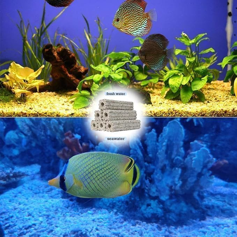 40 PCS Aquarium Bio Media Ceramic Filter Media Blocks for Sump Tank Pond Saltwater Aquarium Fish Tank Biological Media (40) image number 4