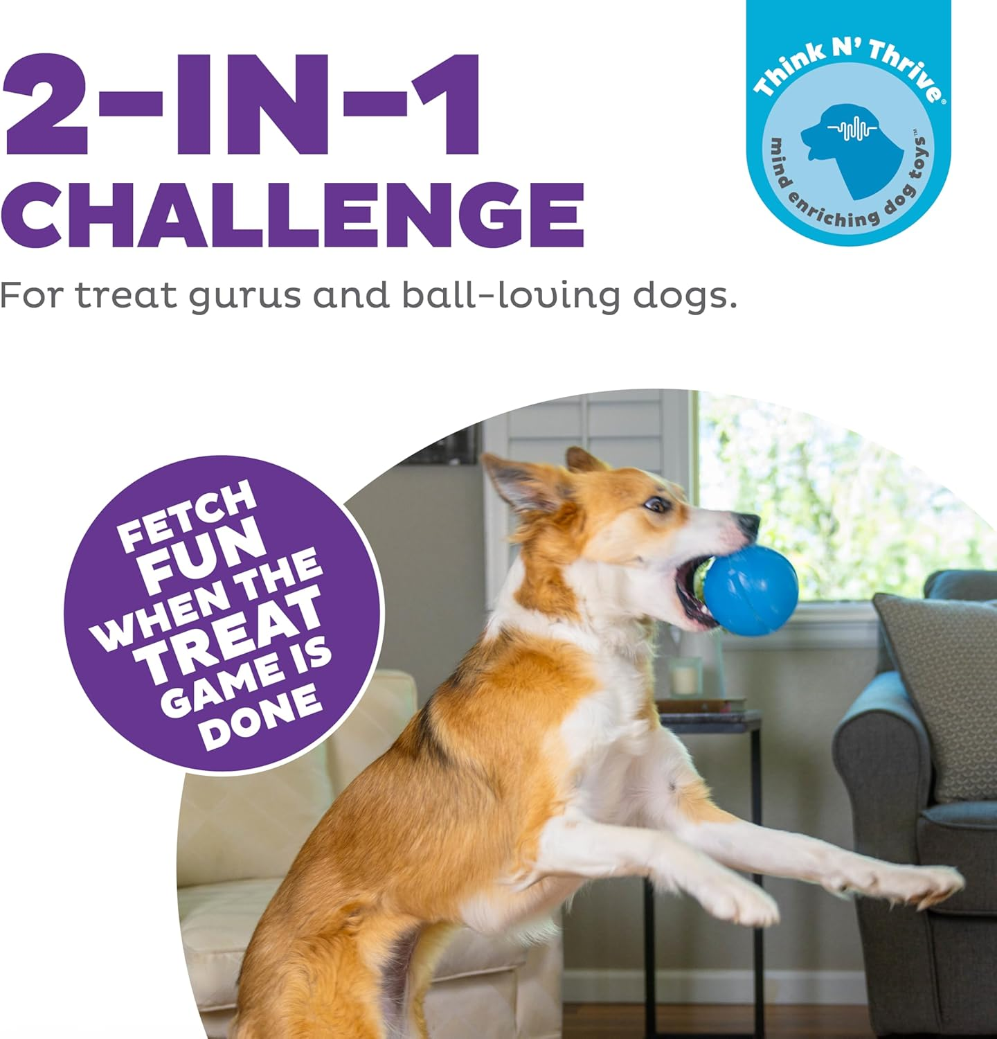 Planet Dog Orbee-Tuff Guru, New Interactive Slow Feeder Puzzle Treat Dispensing Durable Dog Chew Toy, Made in the USA, 100% Guaranteed, 4-Inch, Purple and Blue (Blue) image number 6