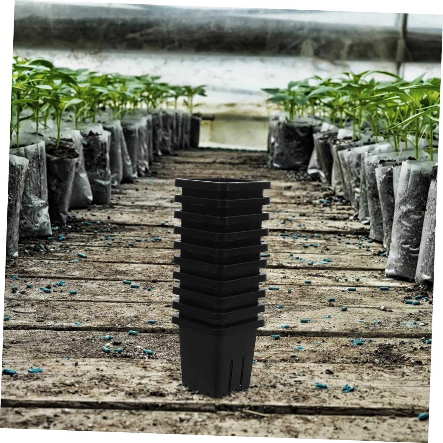 Parliky Plastic Hydroponic Pots Set of 10 Versatile Baskets for Indoor/Outdoor Gardening Aquatic Planting image number 3