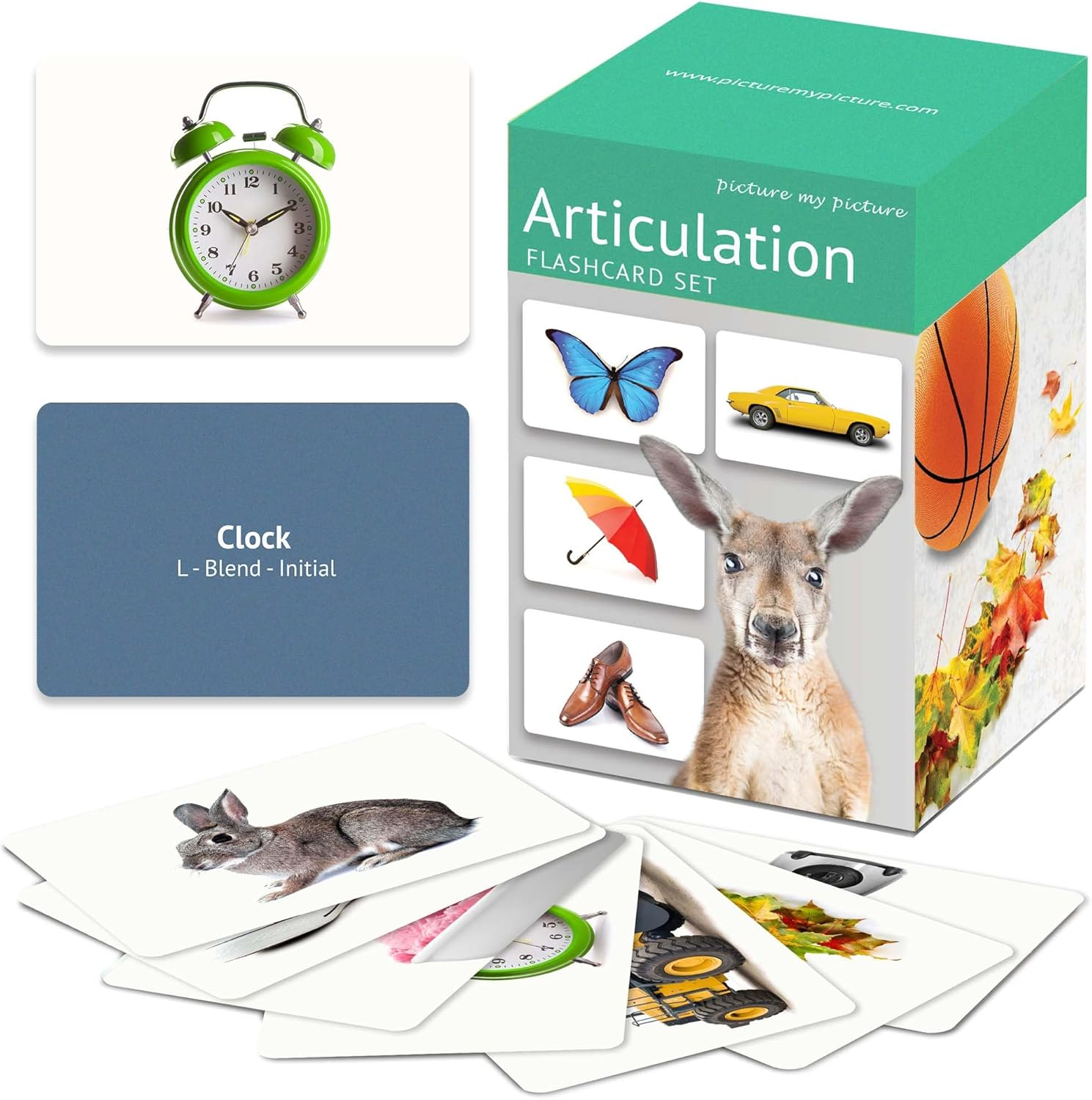 Articulation Flash Cards | Speech Therapy Materials | Autism Learning Materials | ESL Teaching Materials image number 1