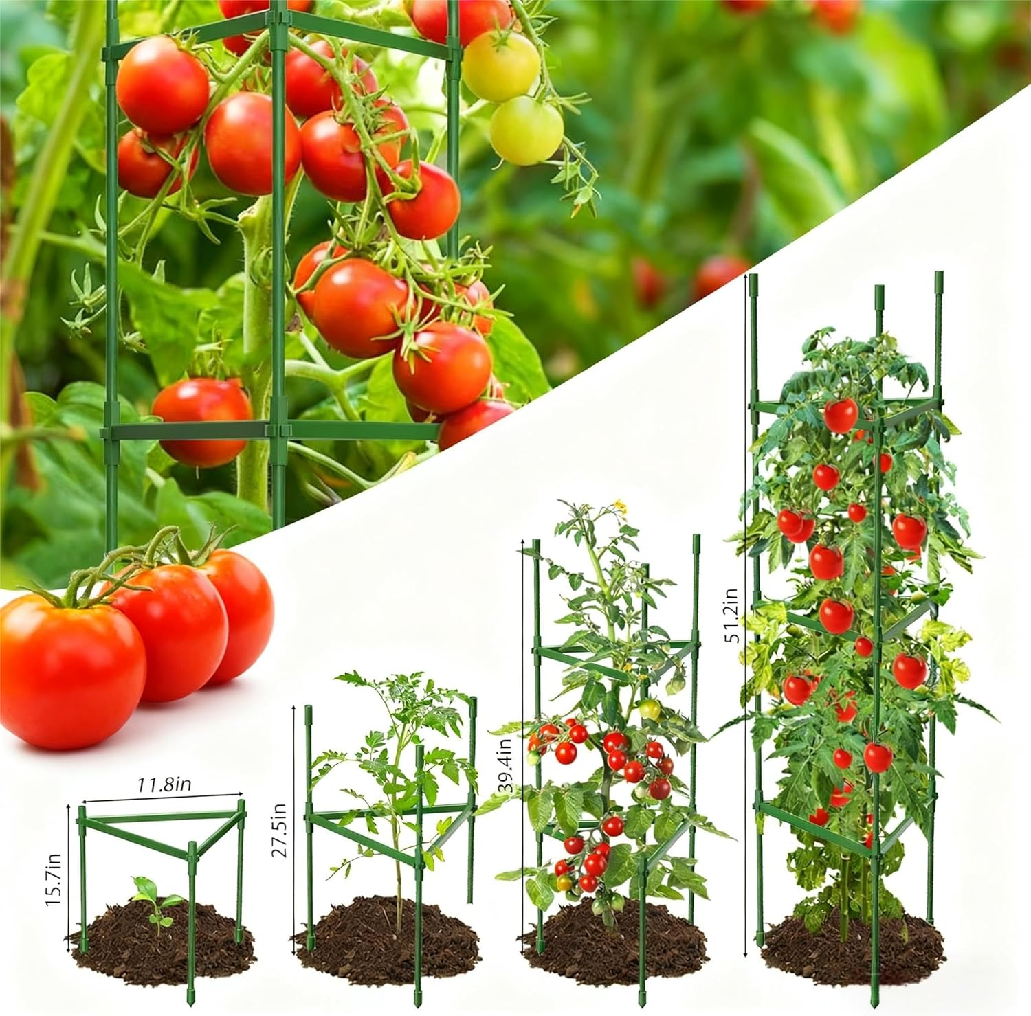 Tomato Cages for Garden,Up to 120Cm Tomato Cage Trellis-Upgraded Hexagon Connector,Heavy Duty Adjustable Tomato Stake Support for Raised Garden Bed(3 Pack) image number 3