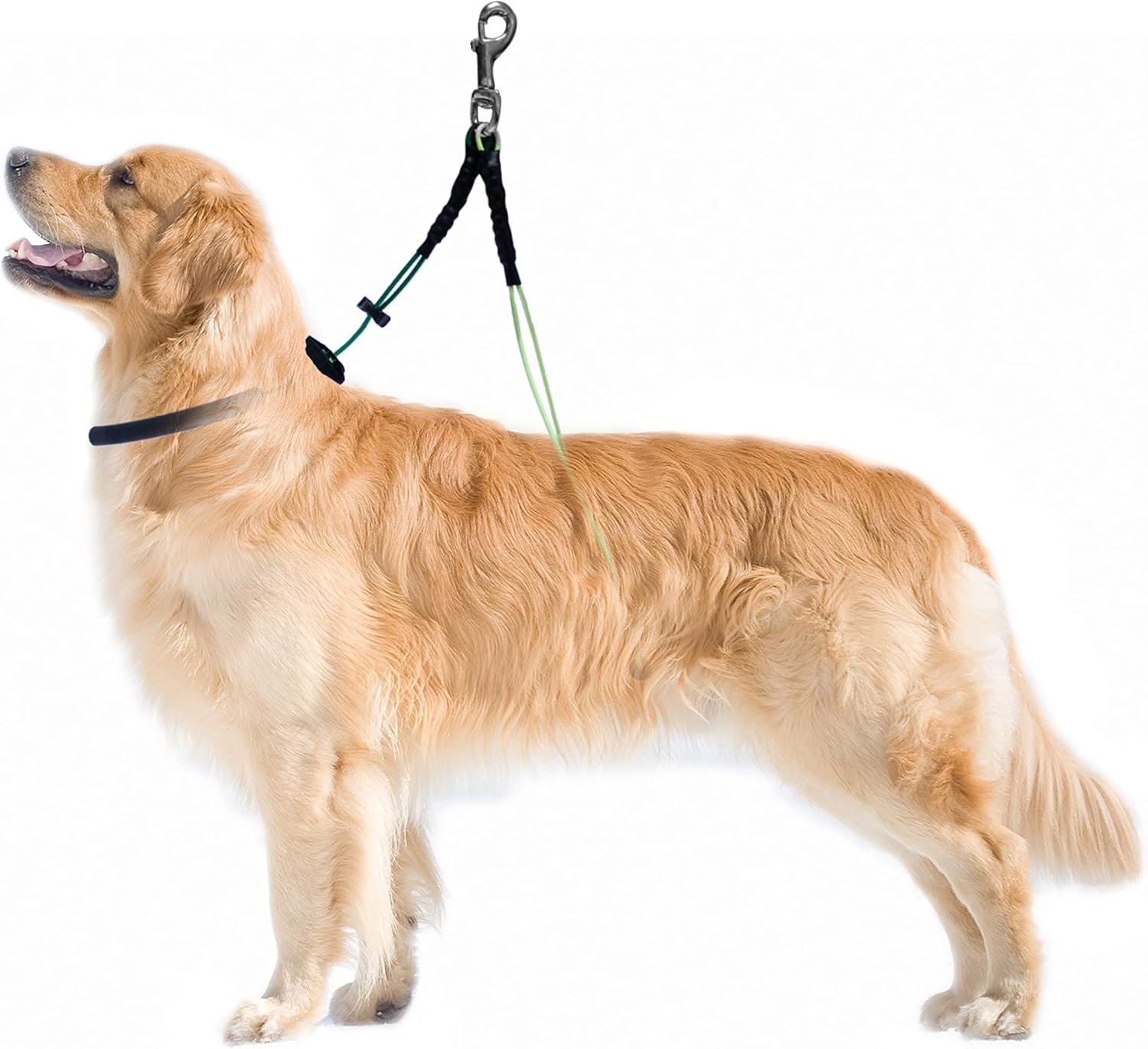 No Sit Haunch Holder Dog Grooming Restraint Restraint for Small-Medium Dogs (Small-Medium: 17" and 21") by Downtown Pet Supply image number 1