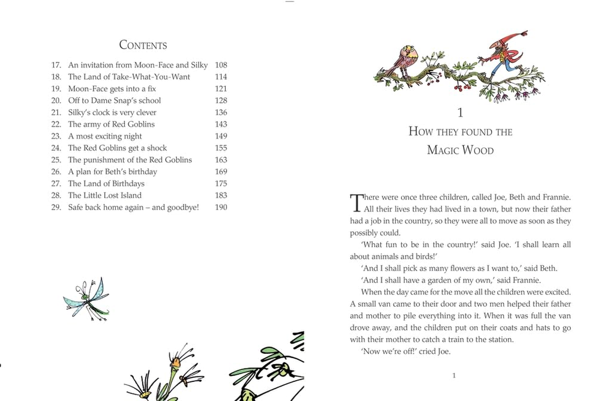 The Magic Faraway Tree: the Enchanted Wood Deluxe Edition: Book 1 image number 1