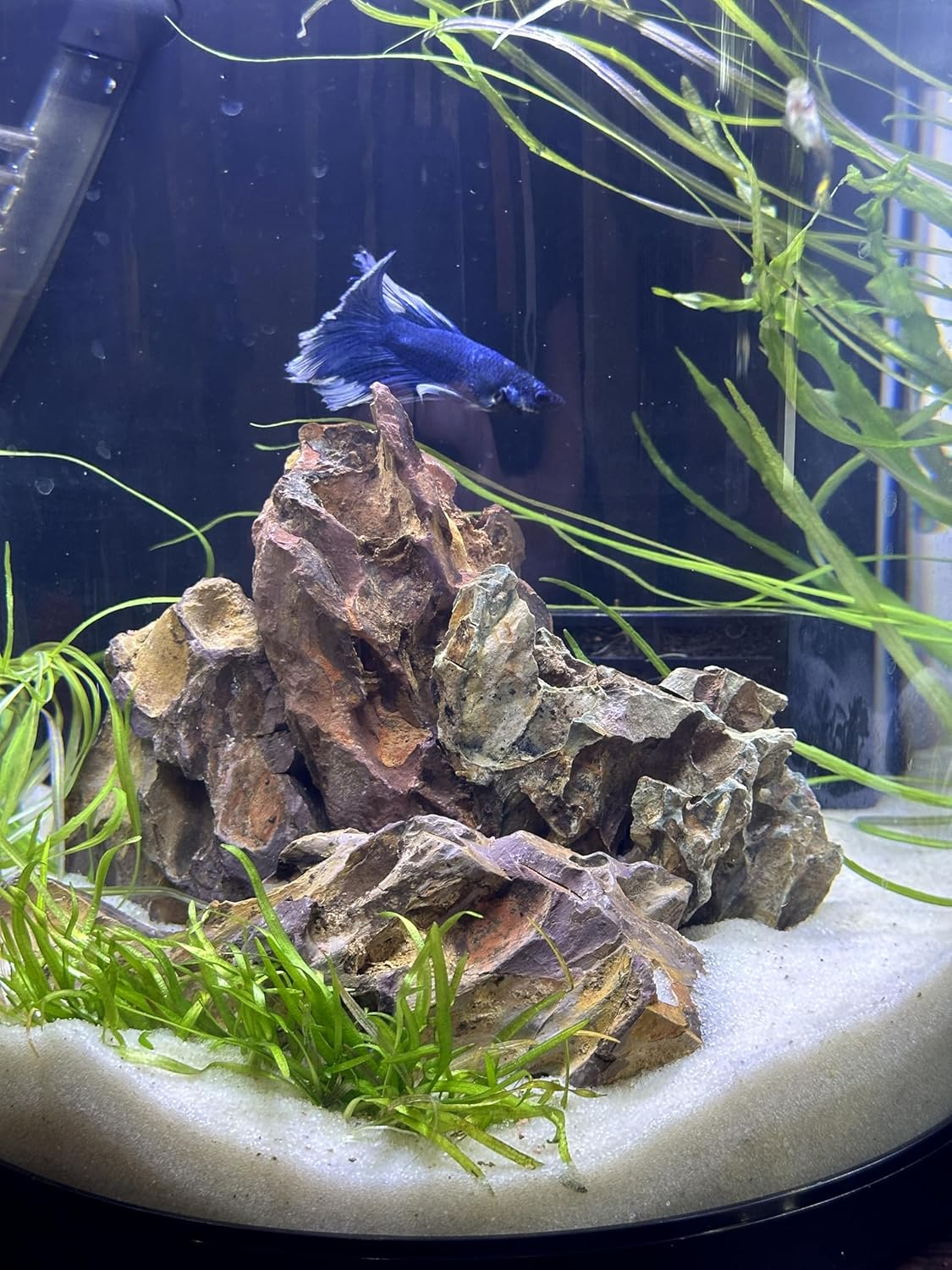 Aqua Natural Sugar White Sand 20Lb Substrate for Aquascaping, Aquariums, Vivariums and Terrariums image number 1