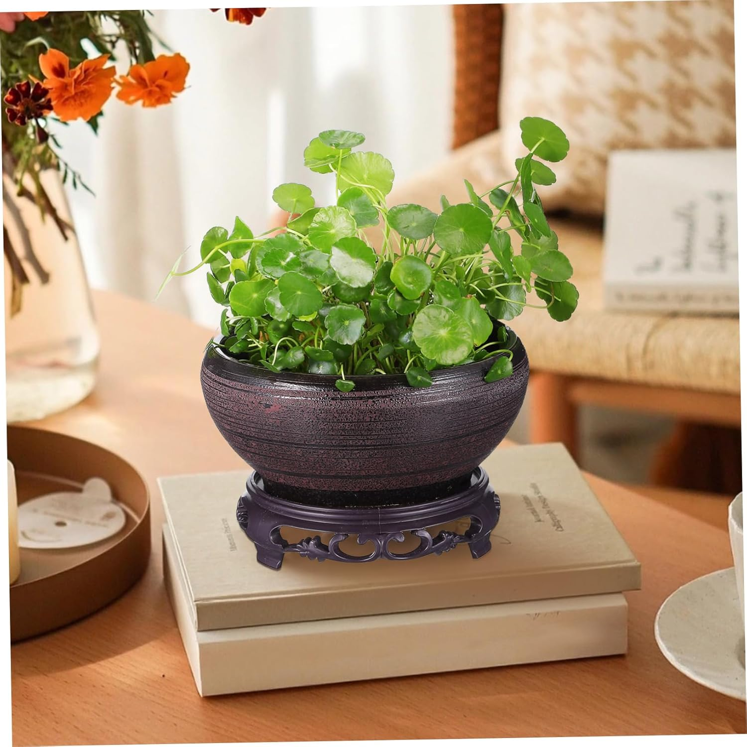 BESPORTBLE Ceramic Hydroponic Plant Pot Bowl Planter for Water Lily and Daffodil with Base, Black-Red Small Lotus Planter Suitable for Indoor Balcony Gardening image number 5