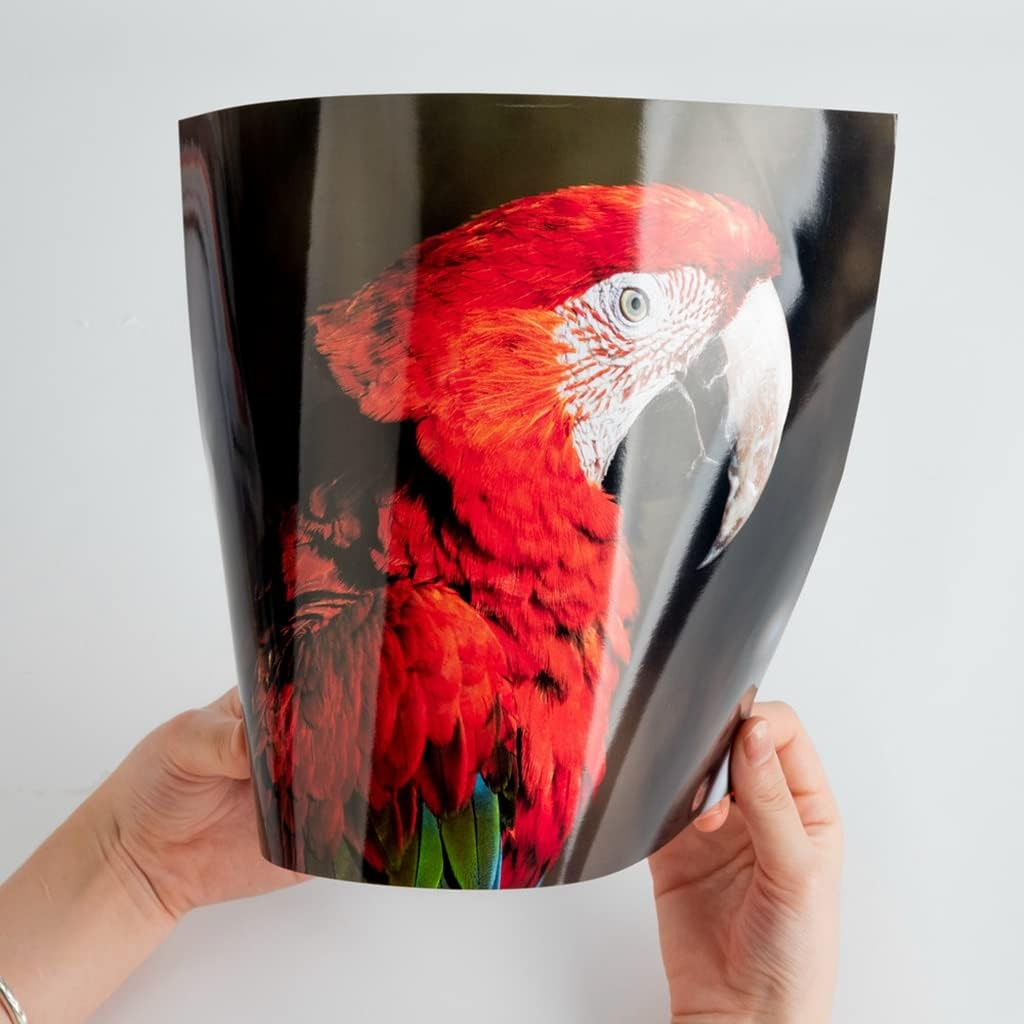 INKUWAY Thick Glossy Photo Paper 260Gsm A4 Inkjet 100Sheets 8.5X11 Gloss for Card Print, Photos, DIY Prints Cards image number 4