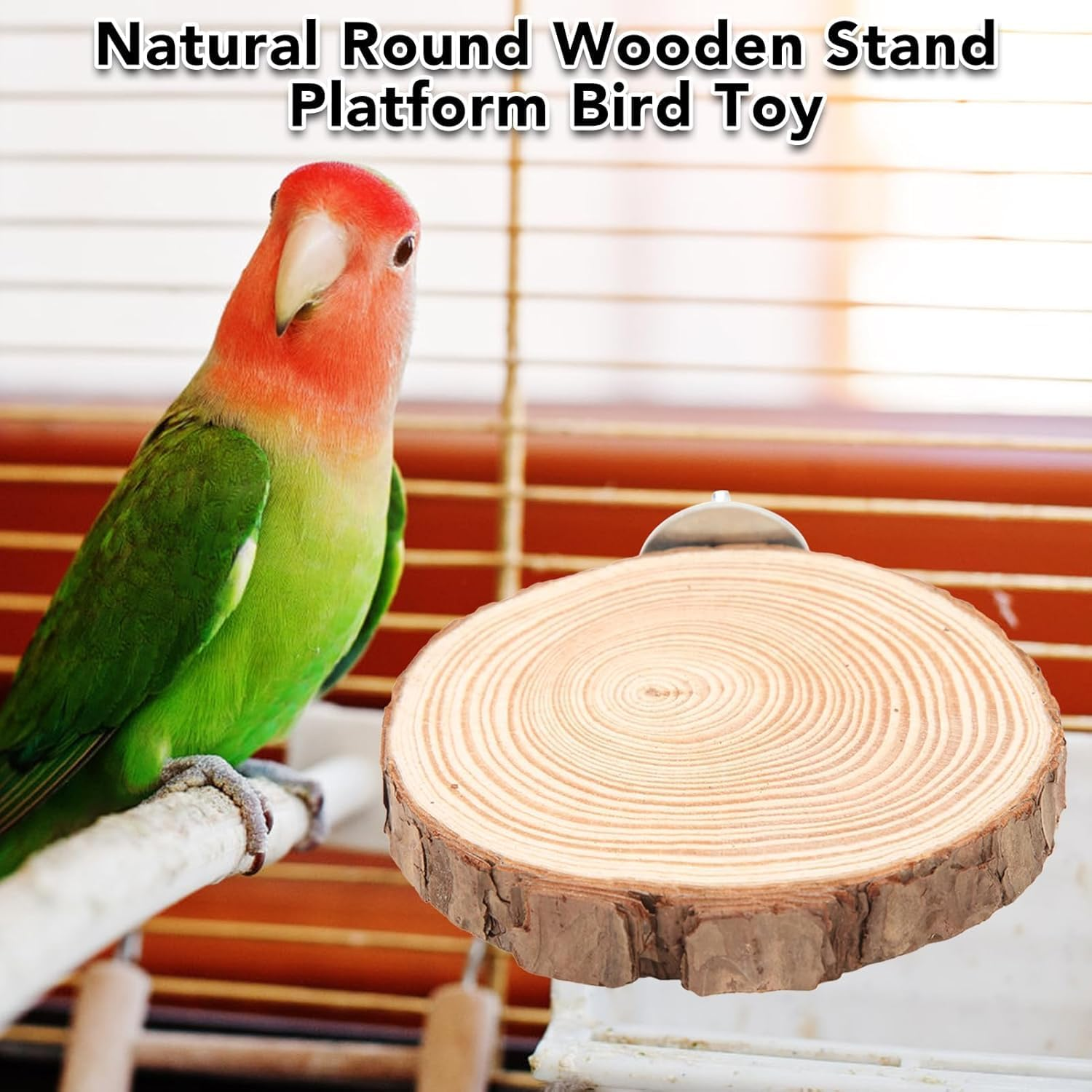 Parrot Log Pier Bird Cage Stand and Hamster Platform, 4Pcs Natural round Wooden Bird Cage Stand Platform,Round Natural Wood Stand Cage Parrot Platform image number 6