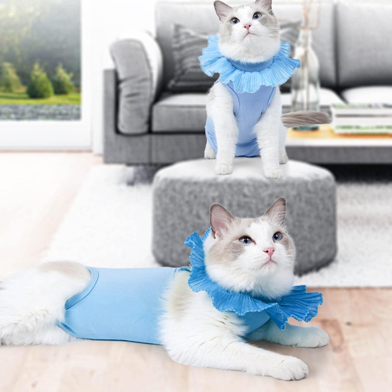 JOROBURO Cat Recovery Suit, Tail Adjustable Lace Neckline Prevent Licking Cat after Surgey Wear, Breathable Surgery Recovery Shirt for Postoperative Recovery Abdominal Wounds (M) image number 1