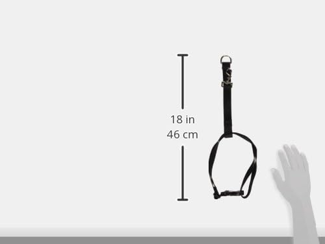 Lupinepet Basics 1" Black 26-38" No Pull Harness for Medium-Larger Dogs