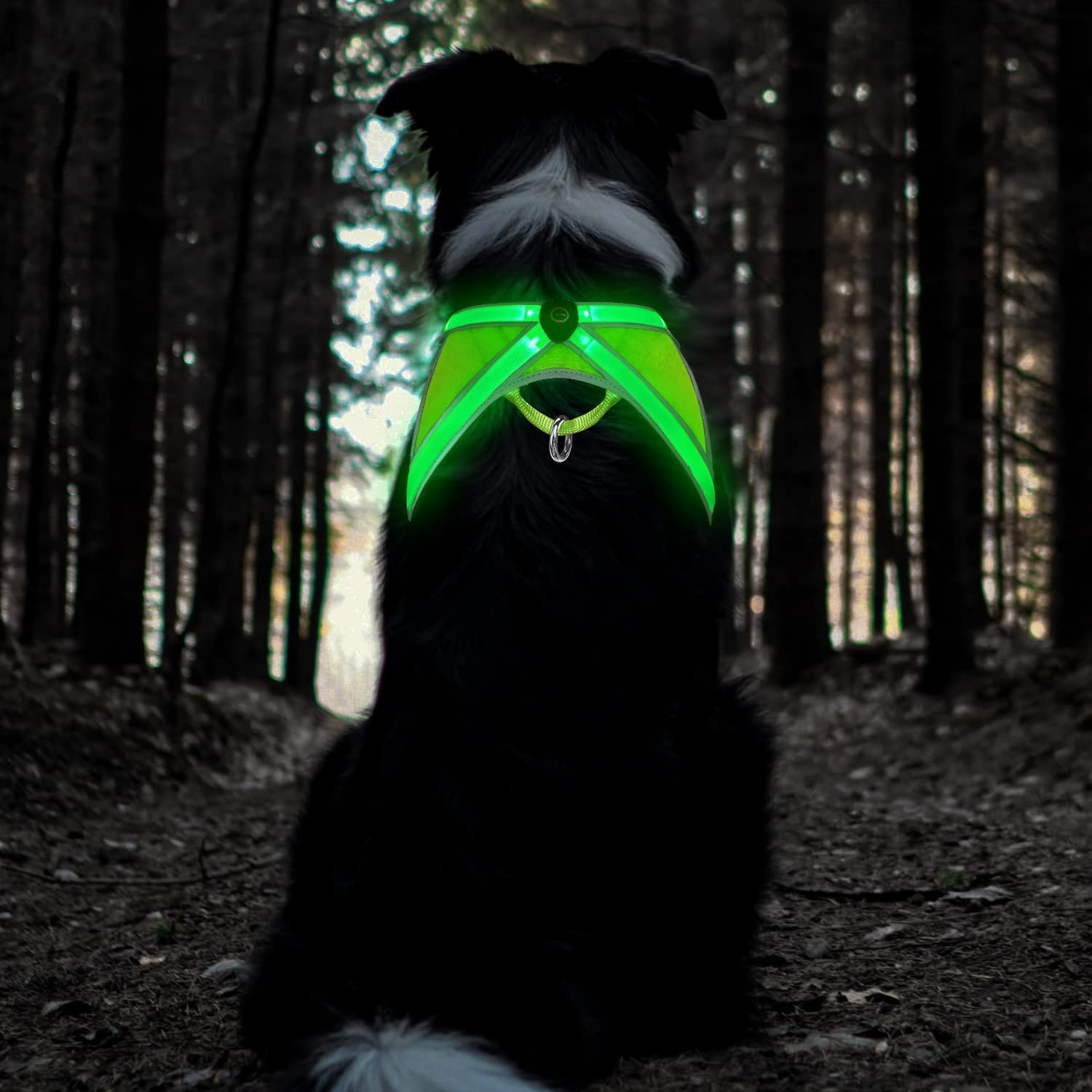 Tripolaco Light up Dog Harness, High Visibility Led Dog Harness for Night Safety, USB Rechargeable Glowing Dog Harness for Night Walking, Flashing Dog Harness for Small Medium Large Dogs (Green, L)