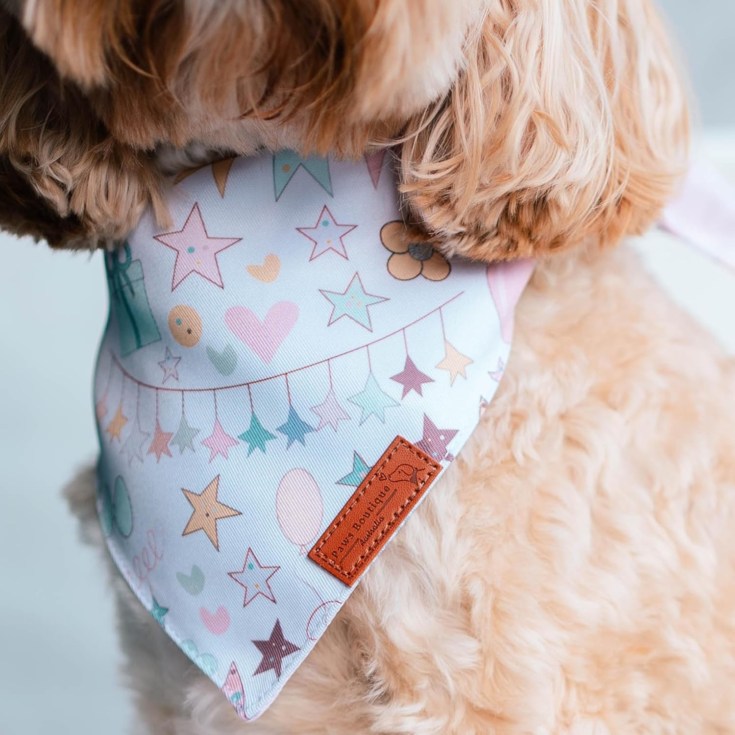 Paws Boutique Premium Dog Bandana/Scarf | Design: Let'S Pawty | Reversible Dual Layered/Sided | Small, Medium & Large Pets | Unique Style | Accessories for Puppies & Dogs (M)