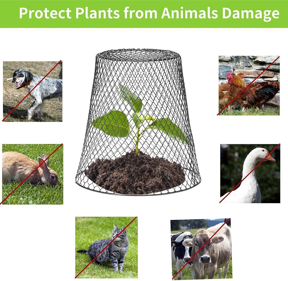 HYAVIA 5 Pack Metal Plant Protectors &ndash; Chicken Wire Cloche Covers for Pots & Gardens, Mesh Barriers to Protect Flowers, Vegetables, and Fruits from Animals (Black) image number 6